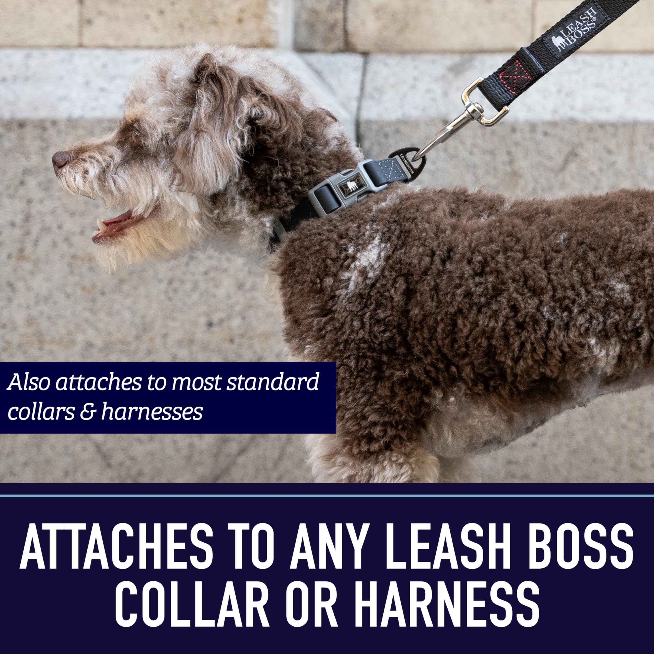 Leash Boss 15 Foot Dog Leash With Padded Handle - Long Leash For Hiking, Camping, Exploring, Or Walking (15 Ft, Black/Red/Grey)