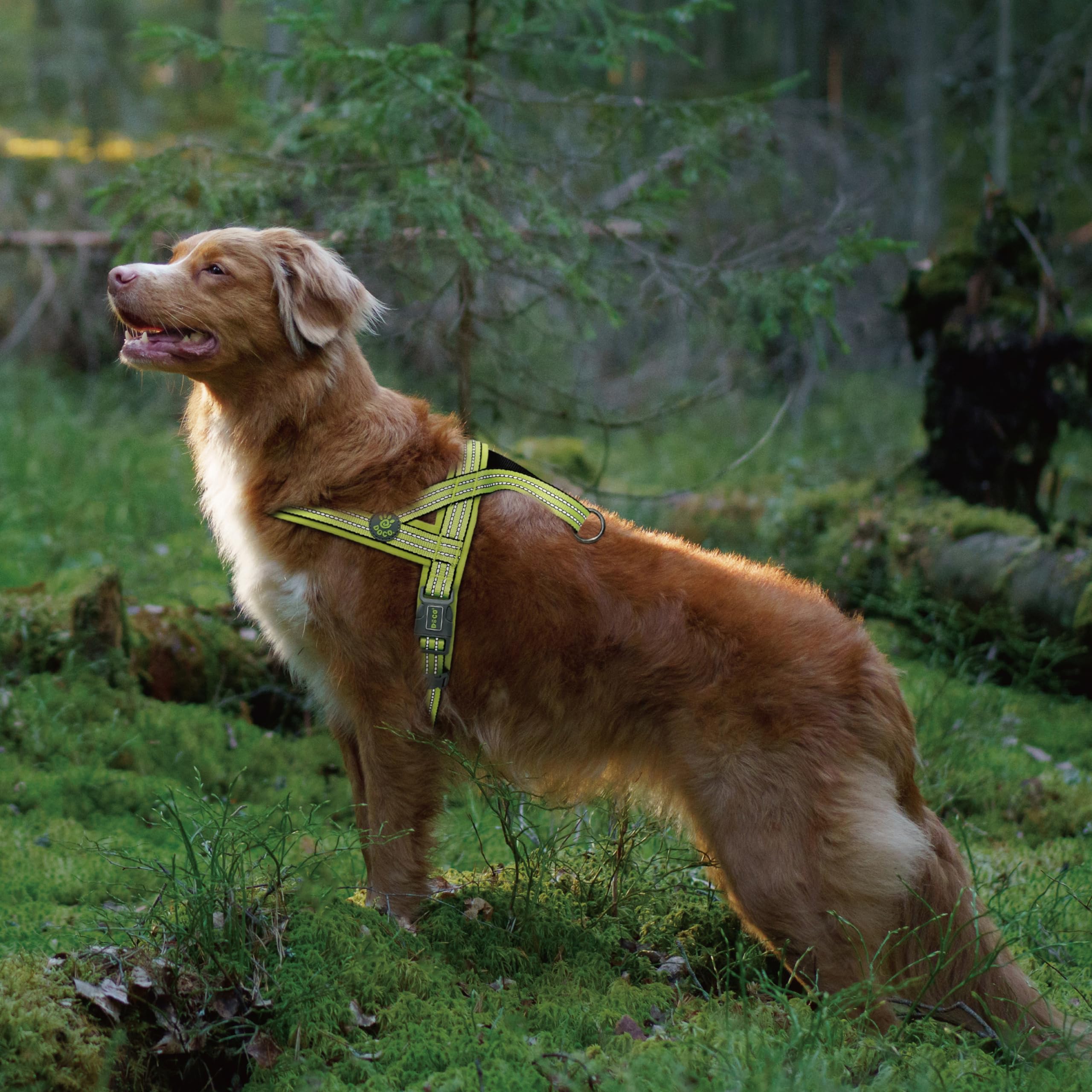 Doco No-Pull Dog Harness Halter Reflective Easy-Control Harness For Training, Walking, And Preventing Pulling, Ideal For Medium