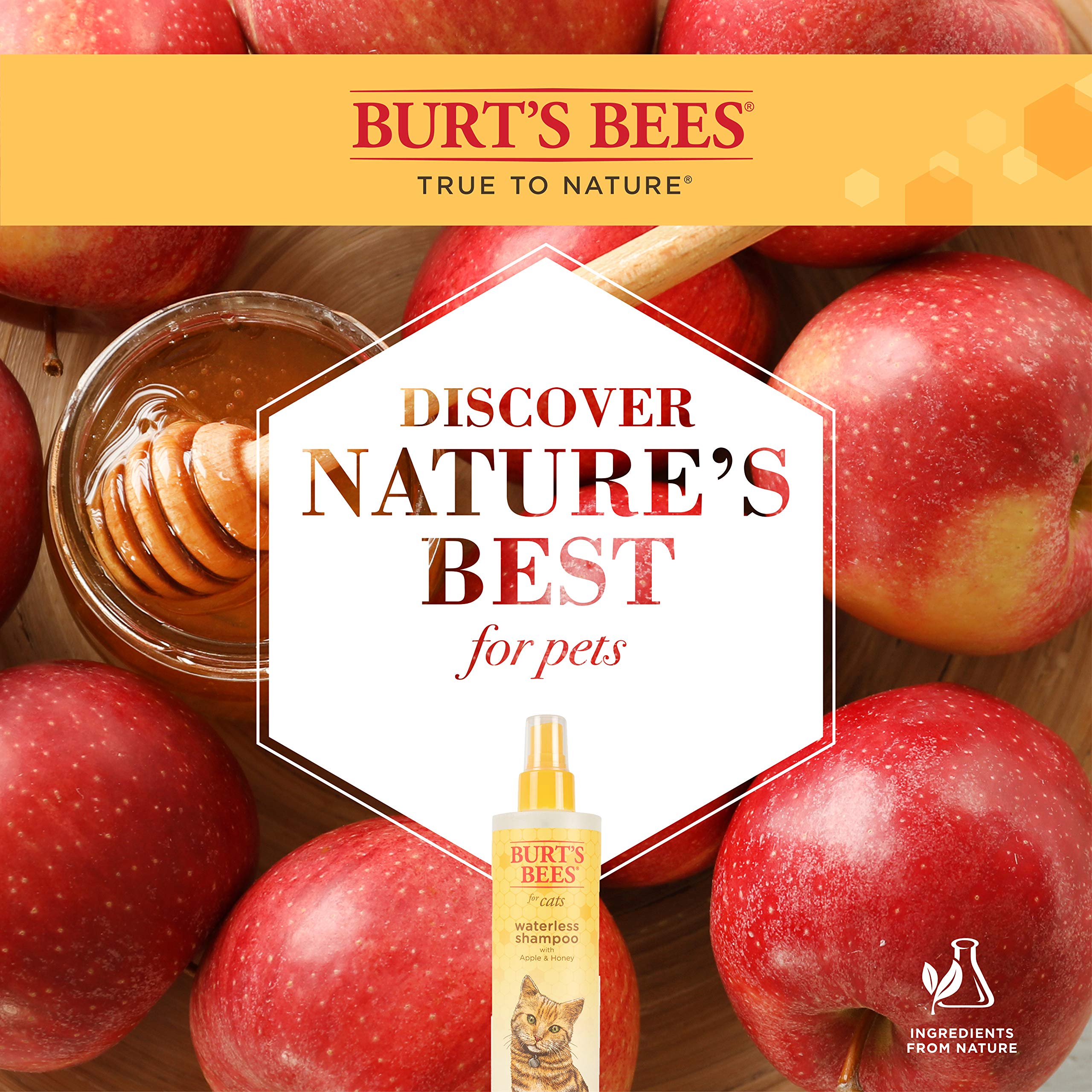 Burt'S Bees For Cats Waterless Shampoo With Apple & Honey | Dry Shampoo For Cats | Waterless Cat Shampoo Spray | Cruelty Free, Sulfate & Paraben Free, Ph Balanced For Cats, 10 Oz- 6 Pack