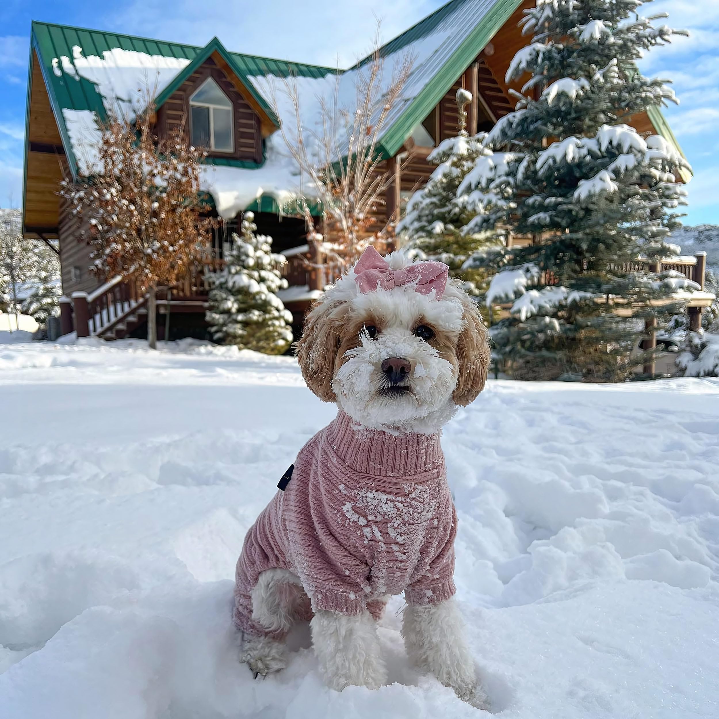 Fitwarm Turtleneck Knitted Dog Sweater Puppy Pajamas Thermal Doggie Winter Clothes Knitwear Pet Coats Cat Apparel Pink Large