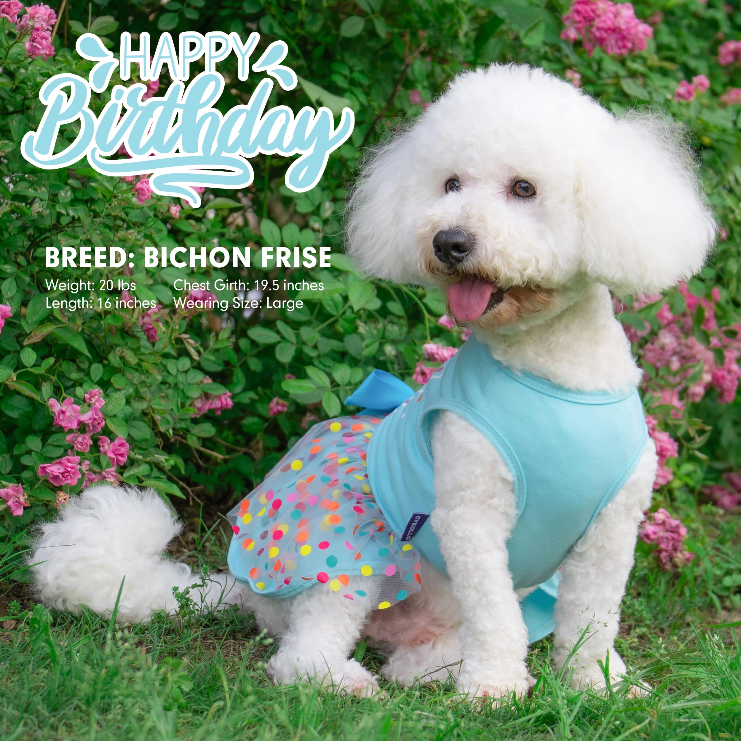 Cyeollo Dog Birthday Dress Party Tulle Dog Clothes Girl Dog Dresses For Small Medium Dogs Pet Holiday Outfit Apparel, Blue, Xl