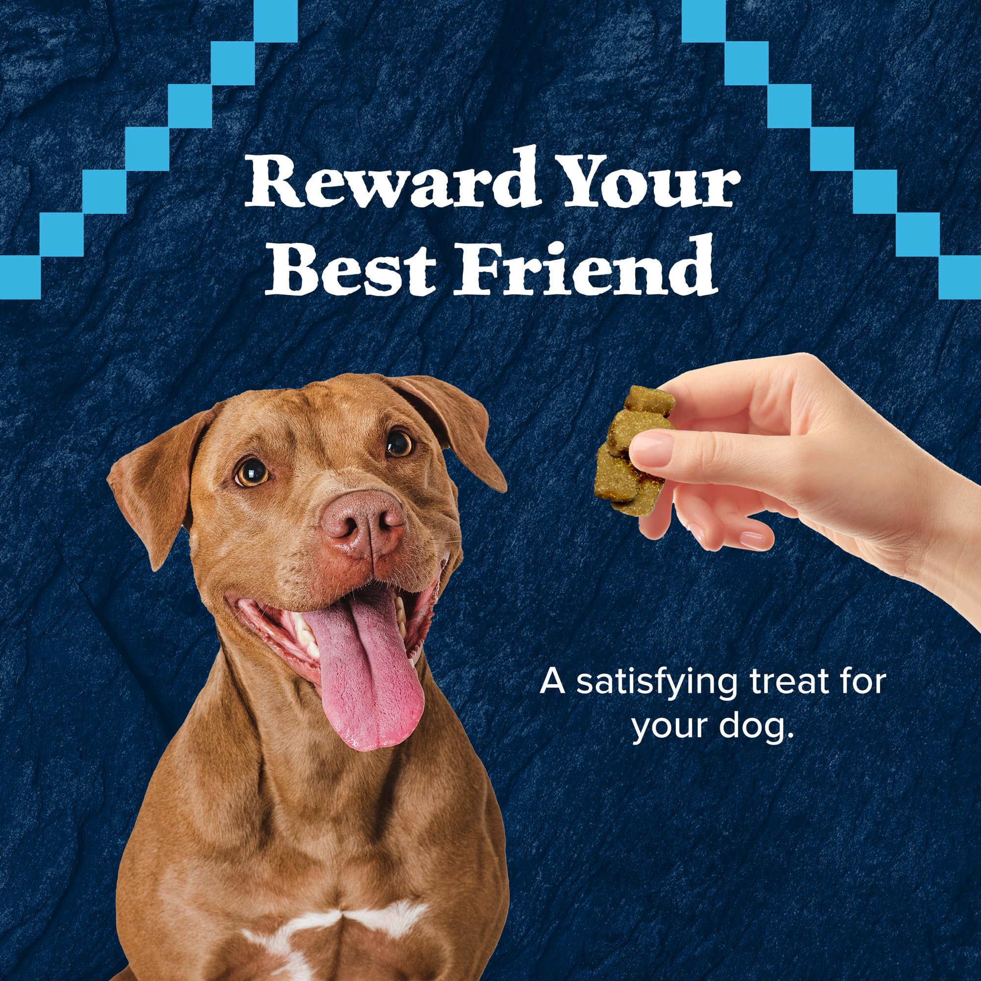 Blue Buffalo Wilderness Trail Treats Wild Bits High Protein Grain Free Soft-Moist Training Dog Treats, Salmon Recipe 4-oz Bag