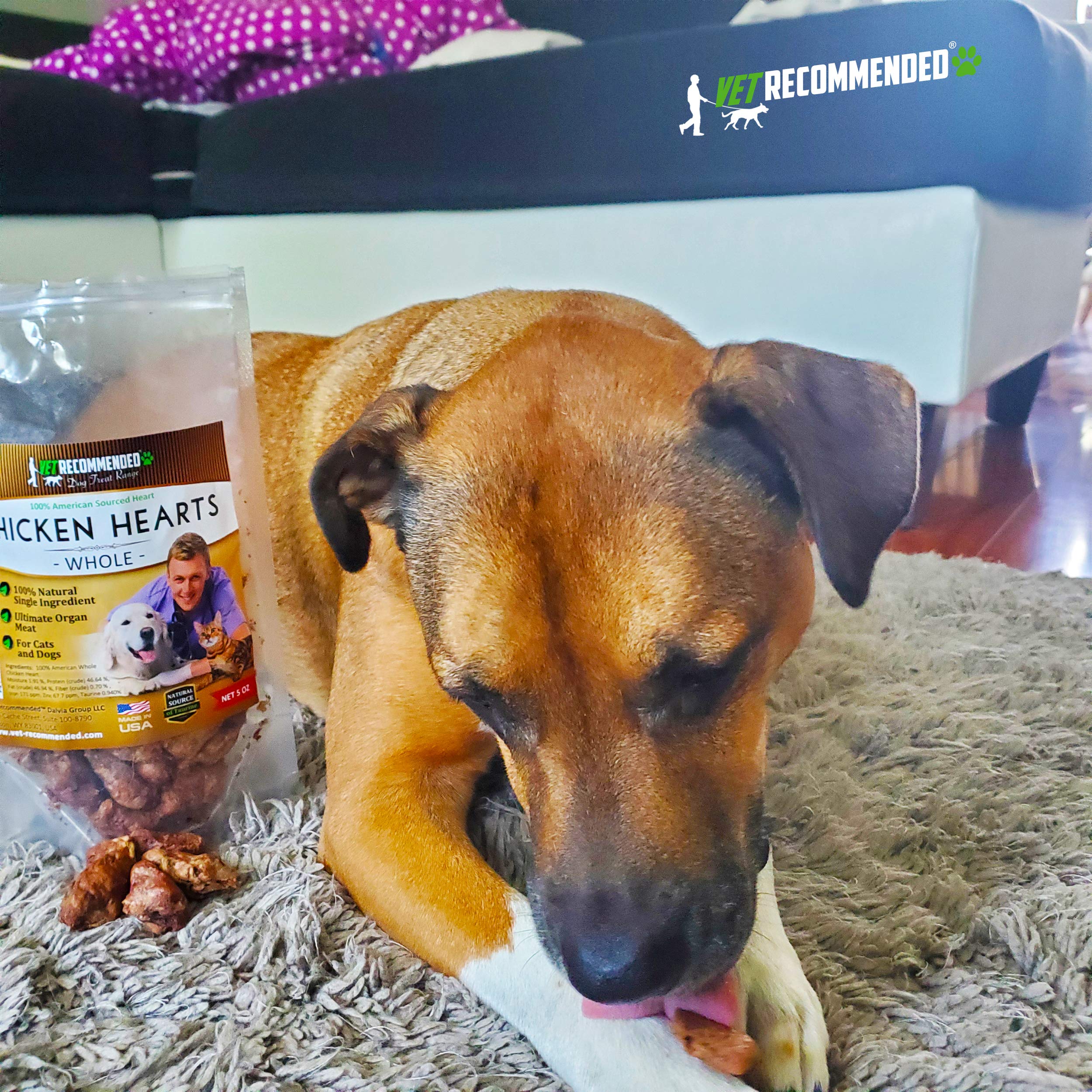 Vet Recommended Premium Whole Chicken Hearts for Dogs and Cats (5oz Bag), Freeze Dried Natural Dog Treats - Perfect Organ Meat f
