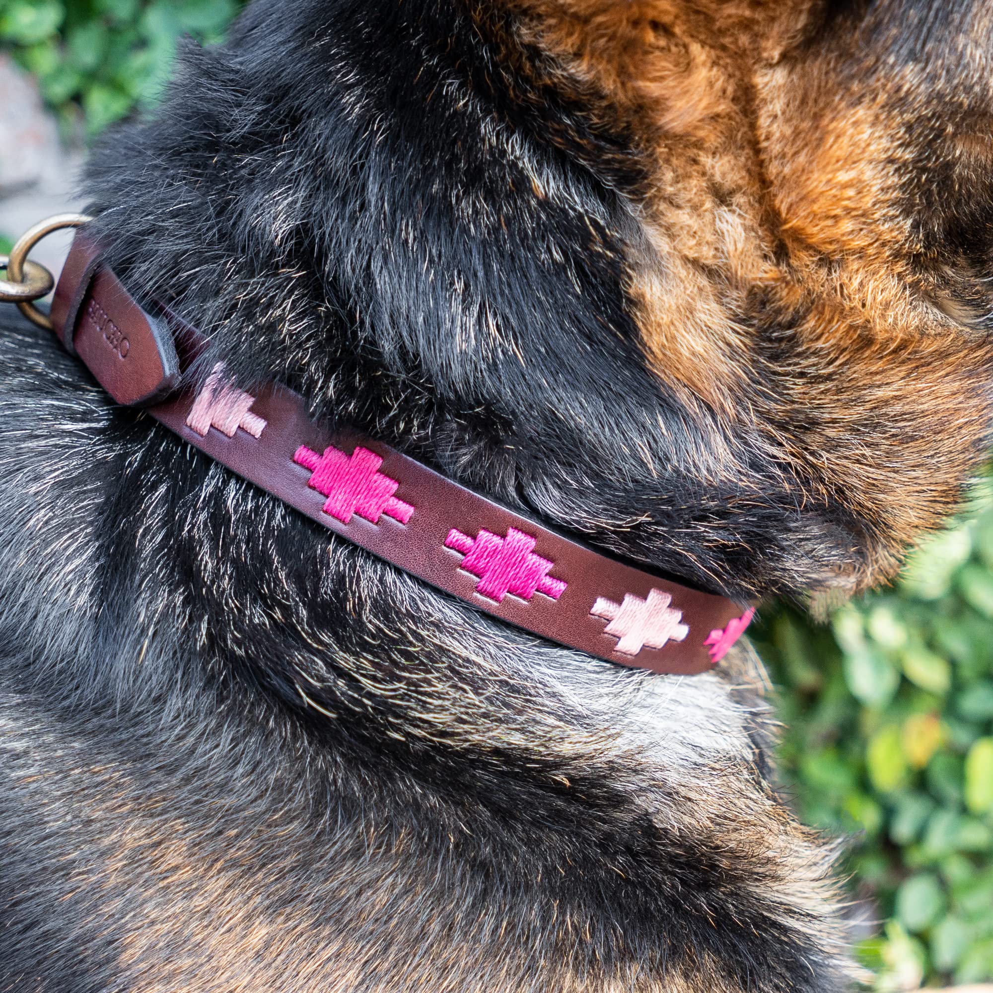 Gaucholife Polo Dog Collar Leather Hand-Stitched For Girls Female Dog Accessories (Large, Pinos)