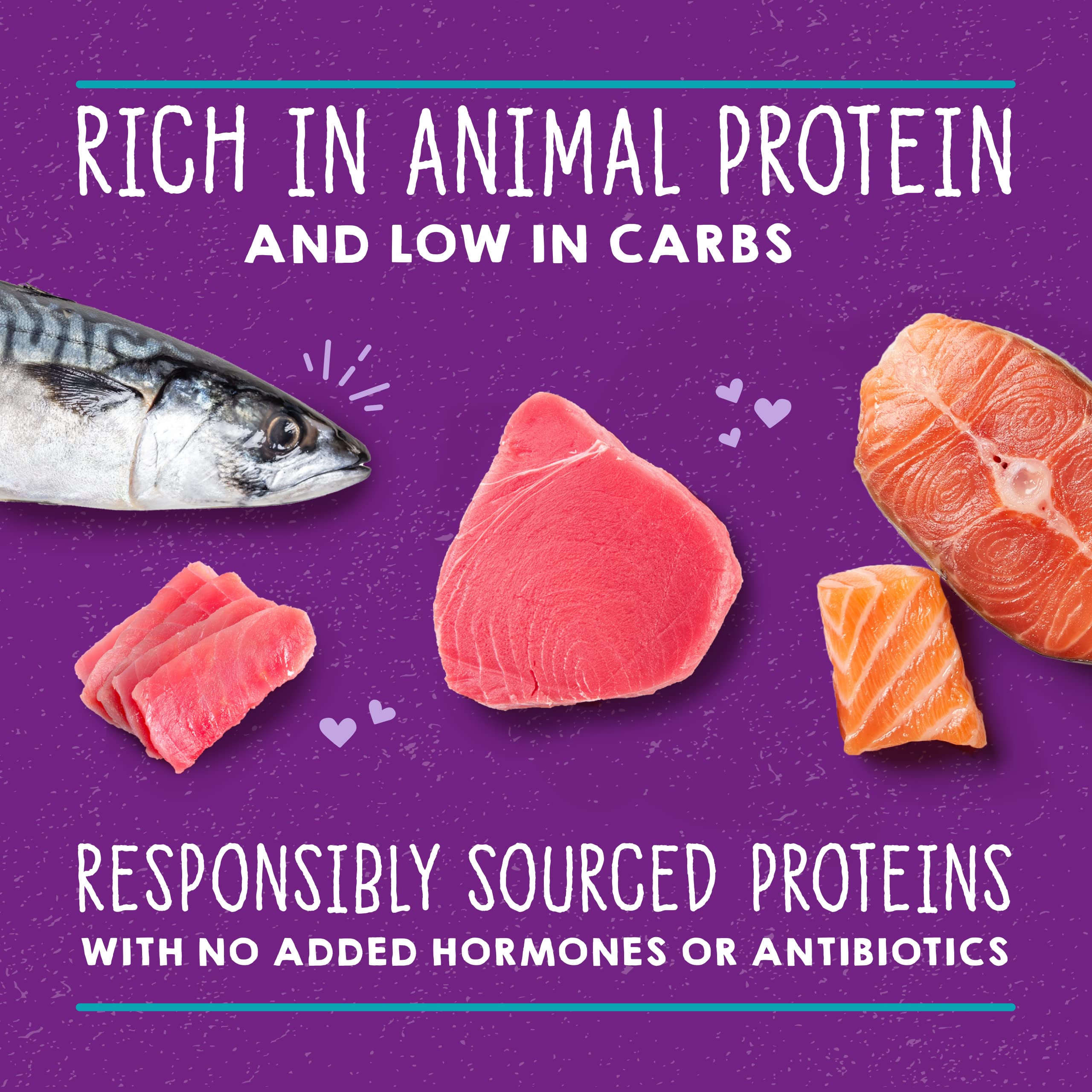 Stella & Chewys Carnivore Cravings Purrfect Pate Cans - Grain Free, Protein Rich Wet Cat Food - Salmon, Tuna & Mackerel Recipe