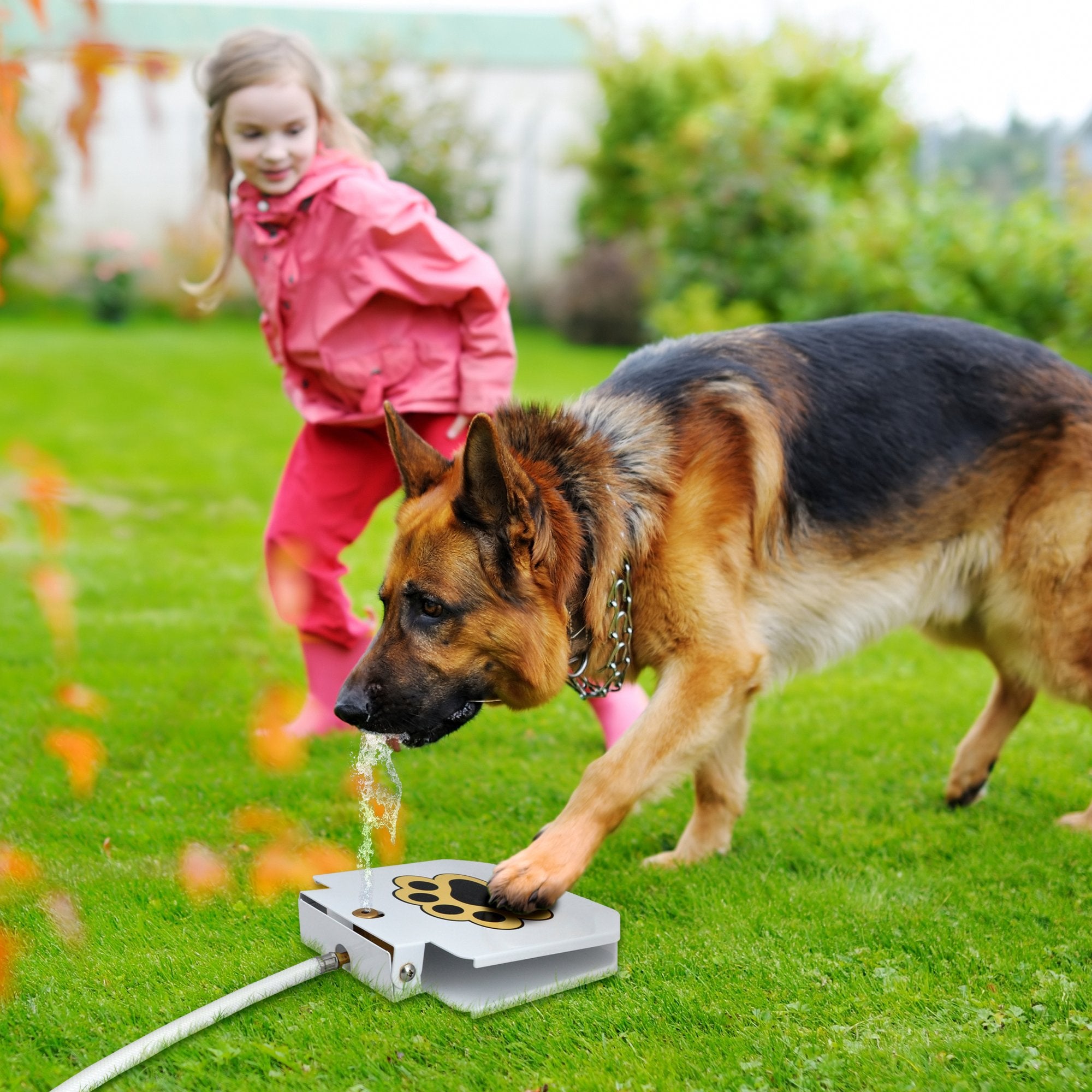 Dog Outdoor Fountain Step On, Dog Sprinkler Paw Activated, Drinking Pet Dispenser, Provides Fresh Water, Sturdy, Easy To Use By Trio Gato