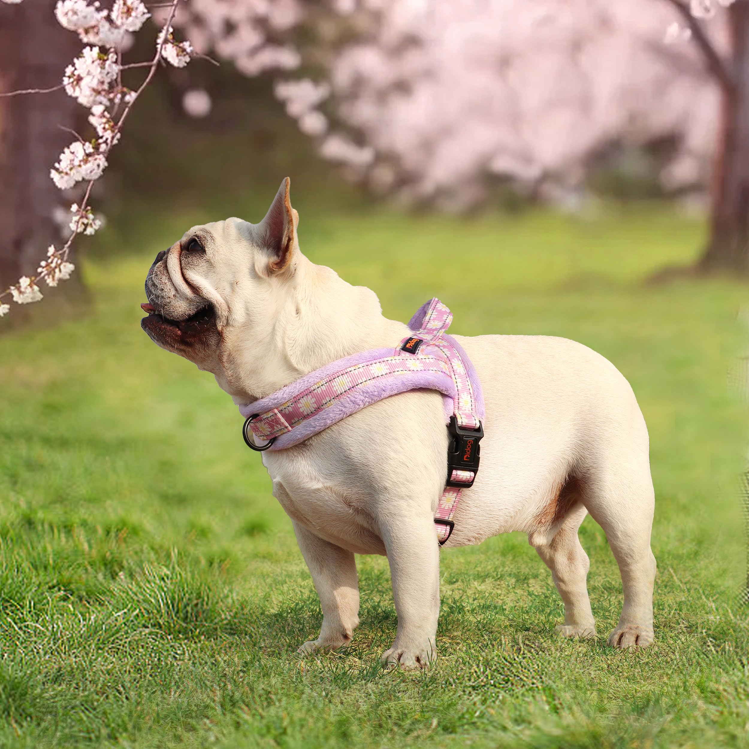 Didog No Pull Dog Harness With Soft Padded, Easy Walk Dog Harness With Quick Release Buckle, Adjustable & Reflective Pet Harness