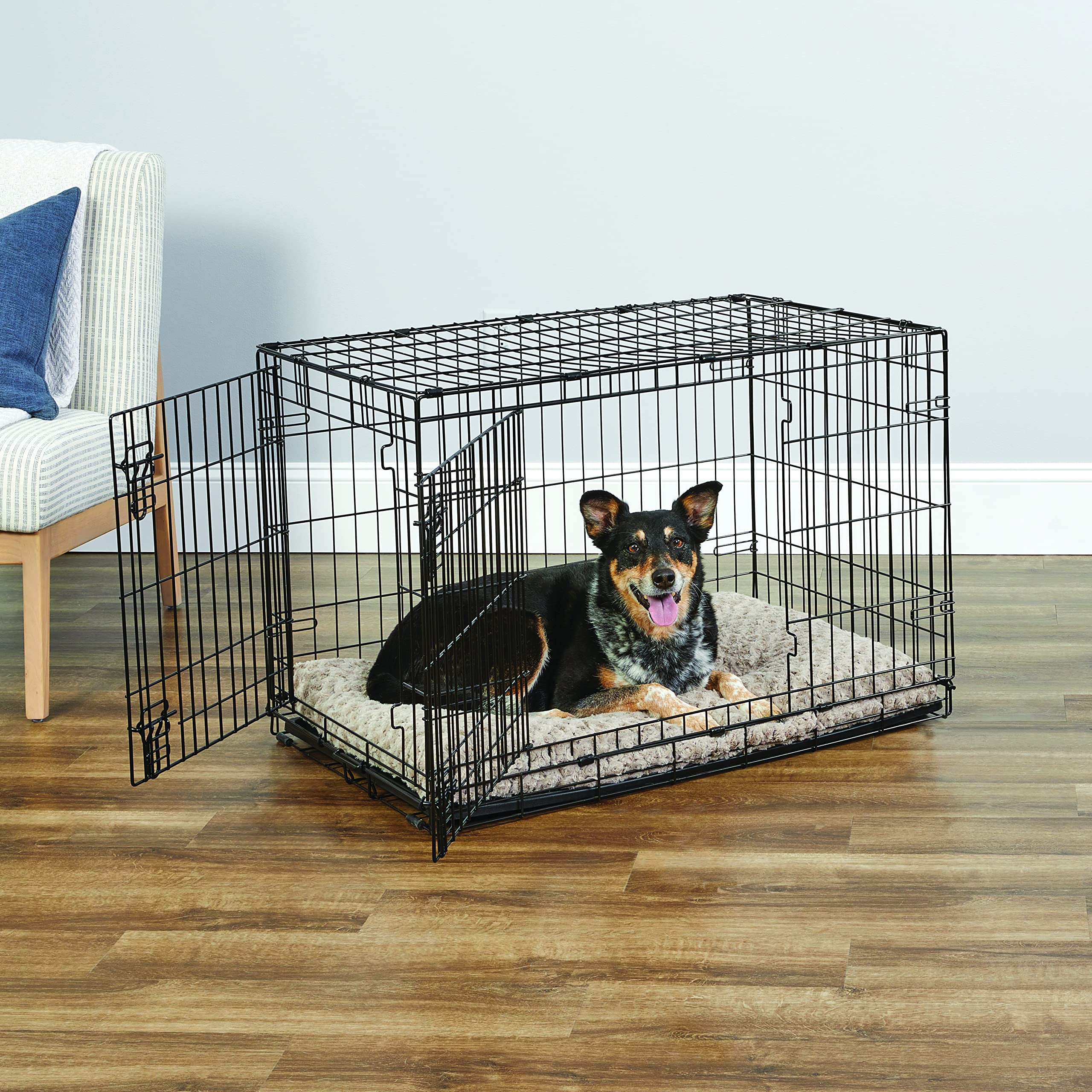 New World 36-Inch Double Door Folding Metal Dog Crate, Black, Includes Leak-Proof Pan & Divider for Medium to Large Breeds