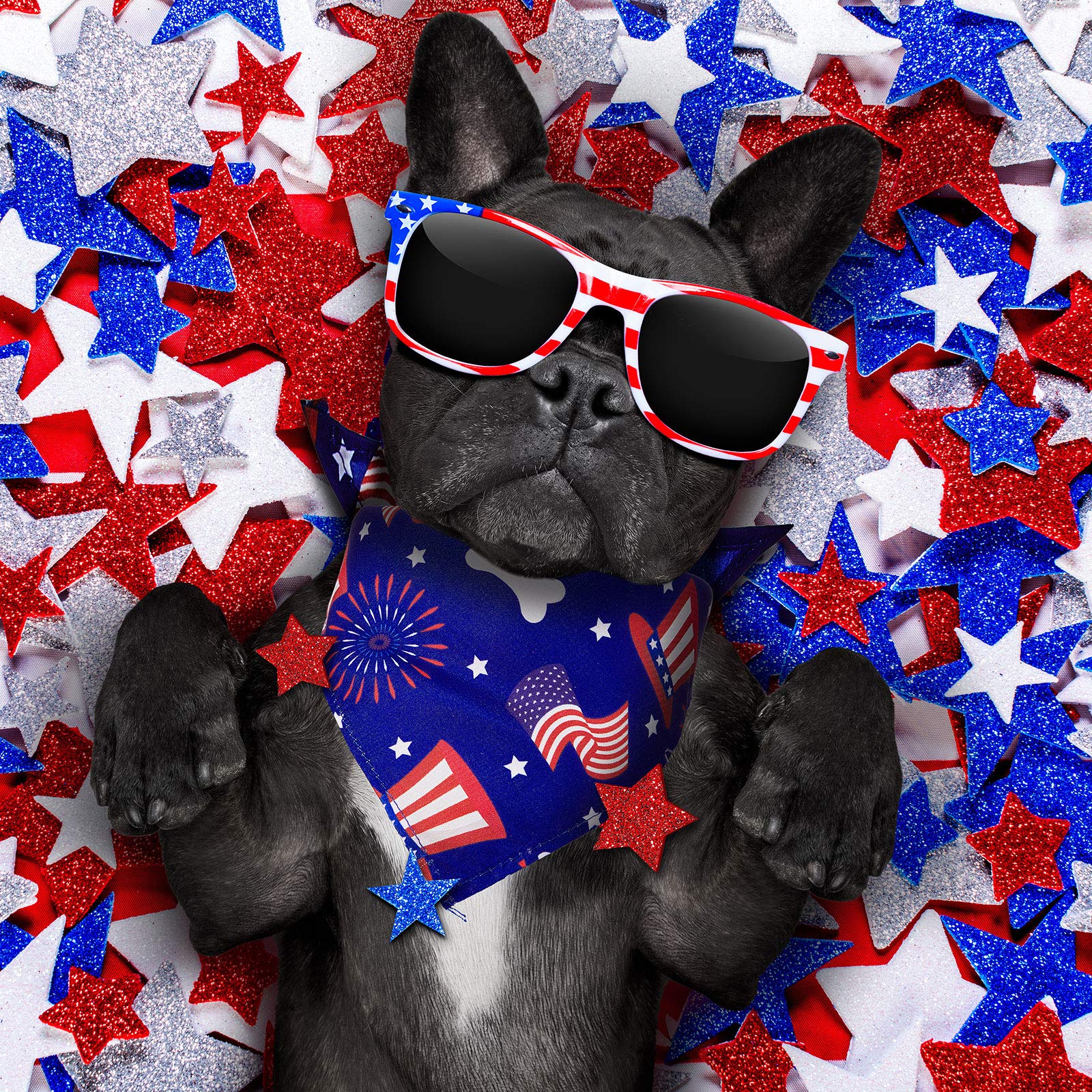 12 Pieces Holiday Dog Bandanas Christmas Dog Scarf Birthday New Year Valentine'S Day Daily Festival Costume Supply Pets Dog Scarf Bandana For Dogs Cats Pets Costume(Large)