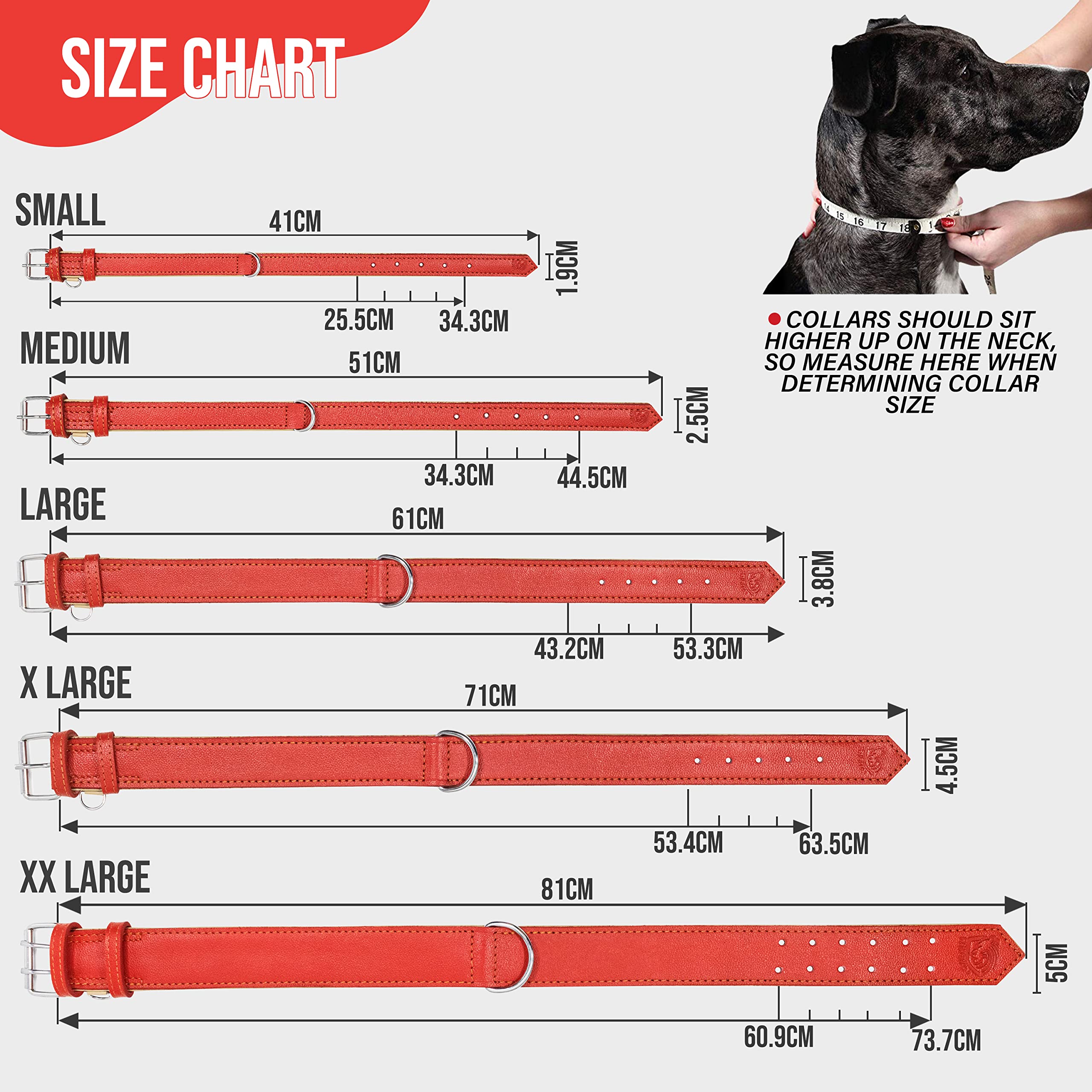 Riparo Red Dog Collar, Dog Collars For Medium Dogs, Leather Dog Collar For Medium Dogs (M: 1'' Wide For 13.5   -17.5    Neck, Re