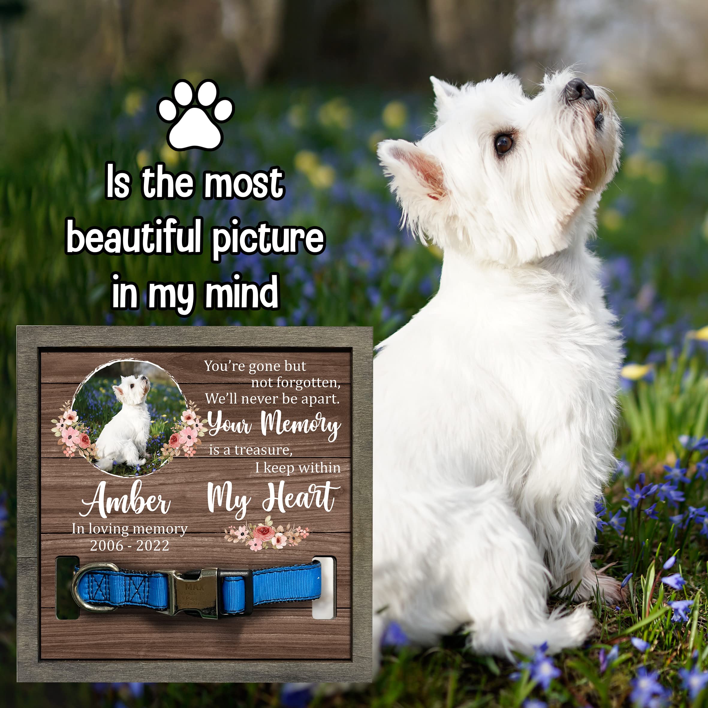 Bfigift Personalized Pet Loss Gifts Dog Picture Collar Frame Pet Remembrance Gifts Dog Memorial Gifts Dog Memorial Frames For Pictures Sympathy Gifts Keepsake Bereavement Gifts Funerary Decor Wall