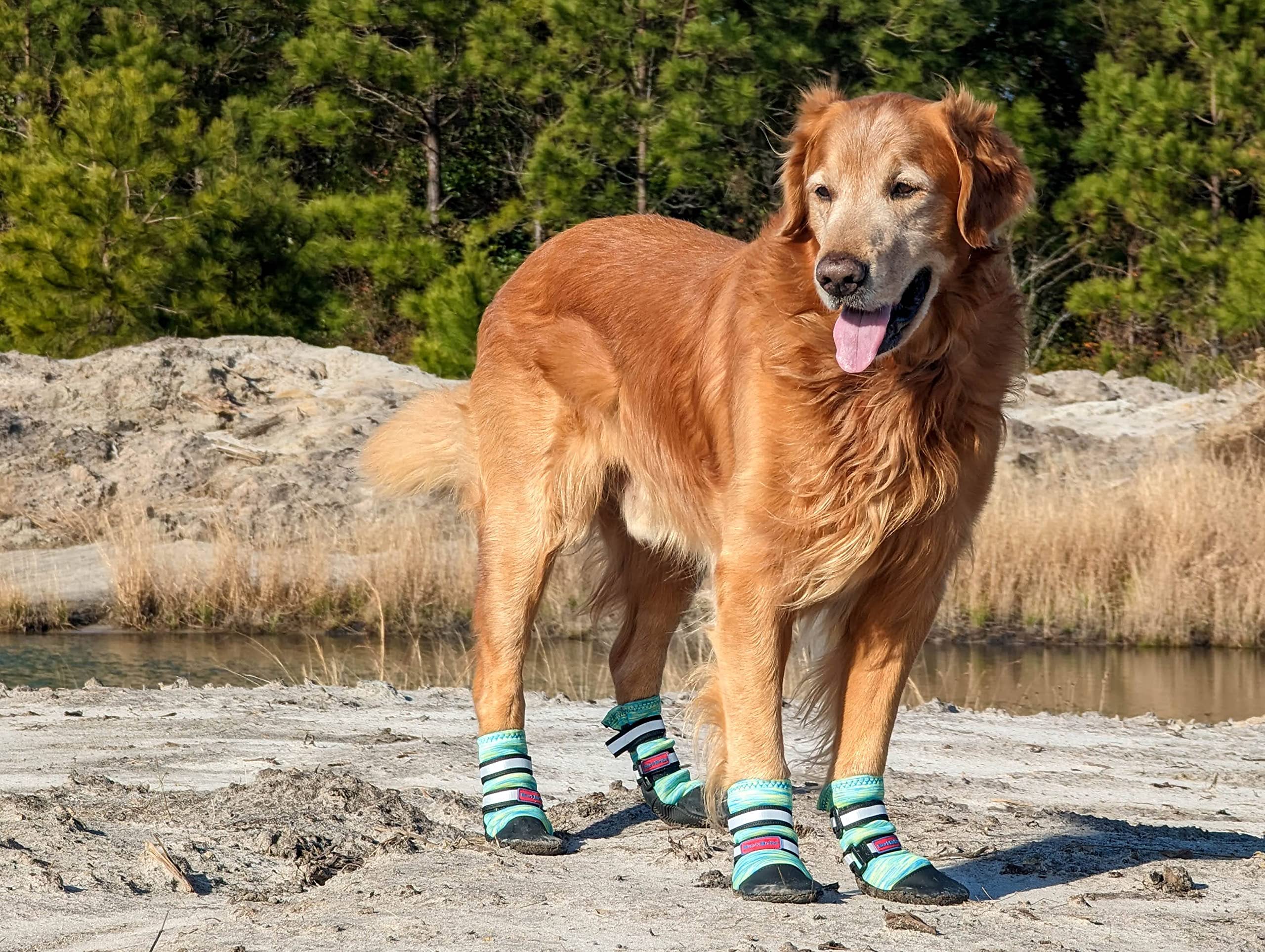 Bark Brite All Weather Neoprene Dog Boots, Reflective Straps, Small Size, Turquoise