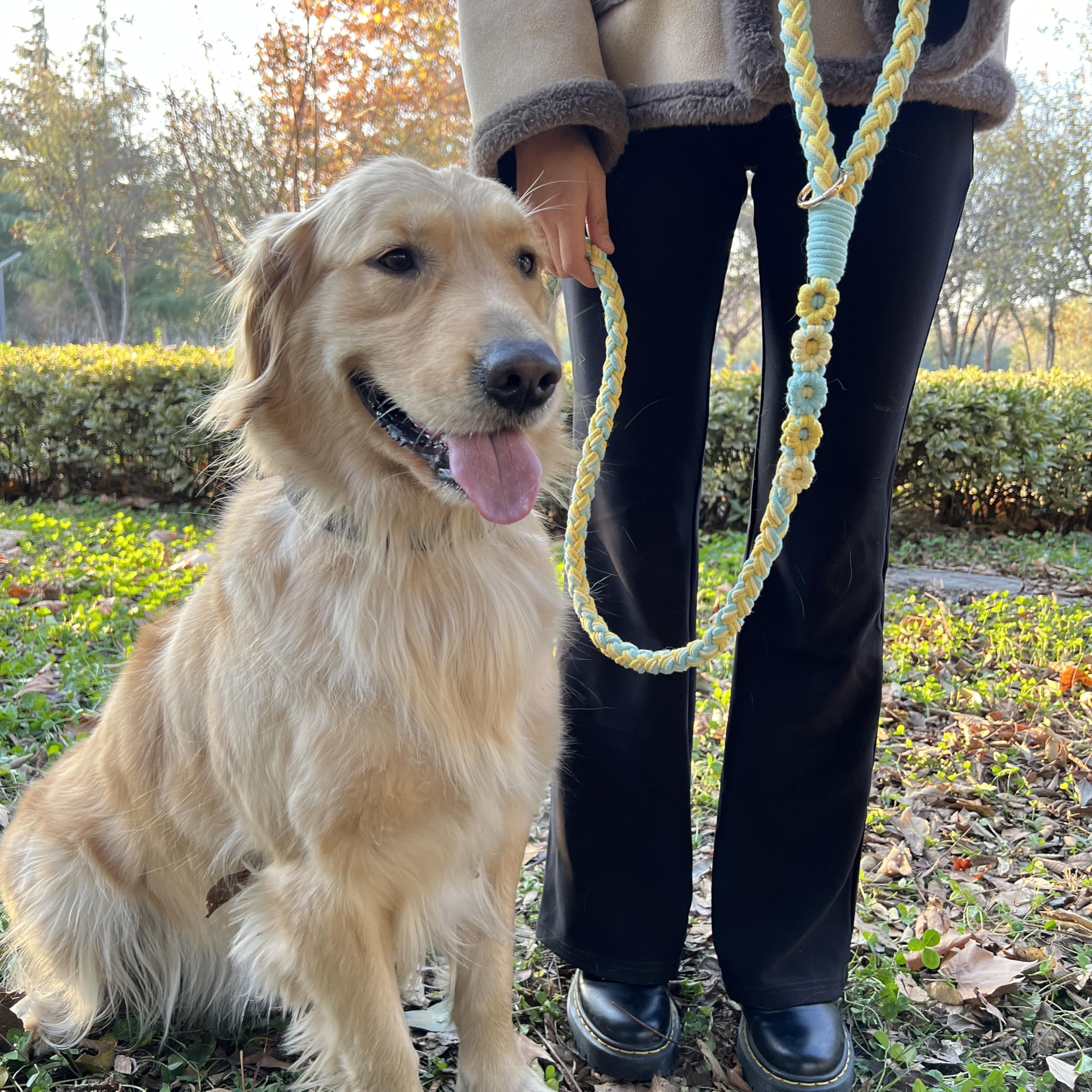 Handmade 5Ft Braided Cotton Dog Leash With Unique Floral Handle, Durable And Stylish, Ideal For Small To Large Dogs, Blue & Yell
