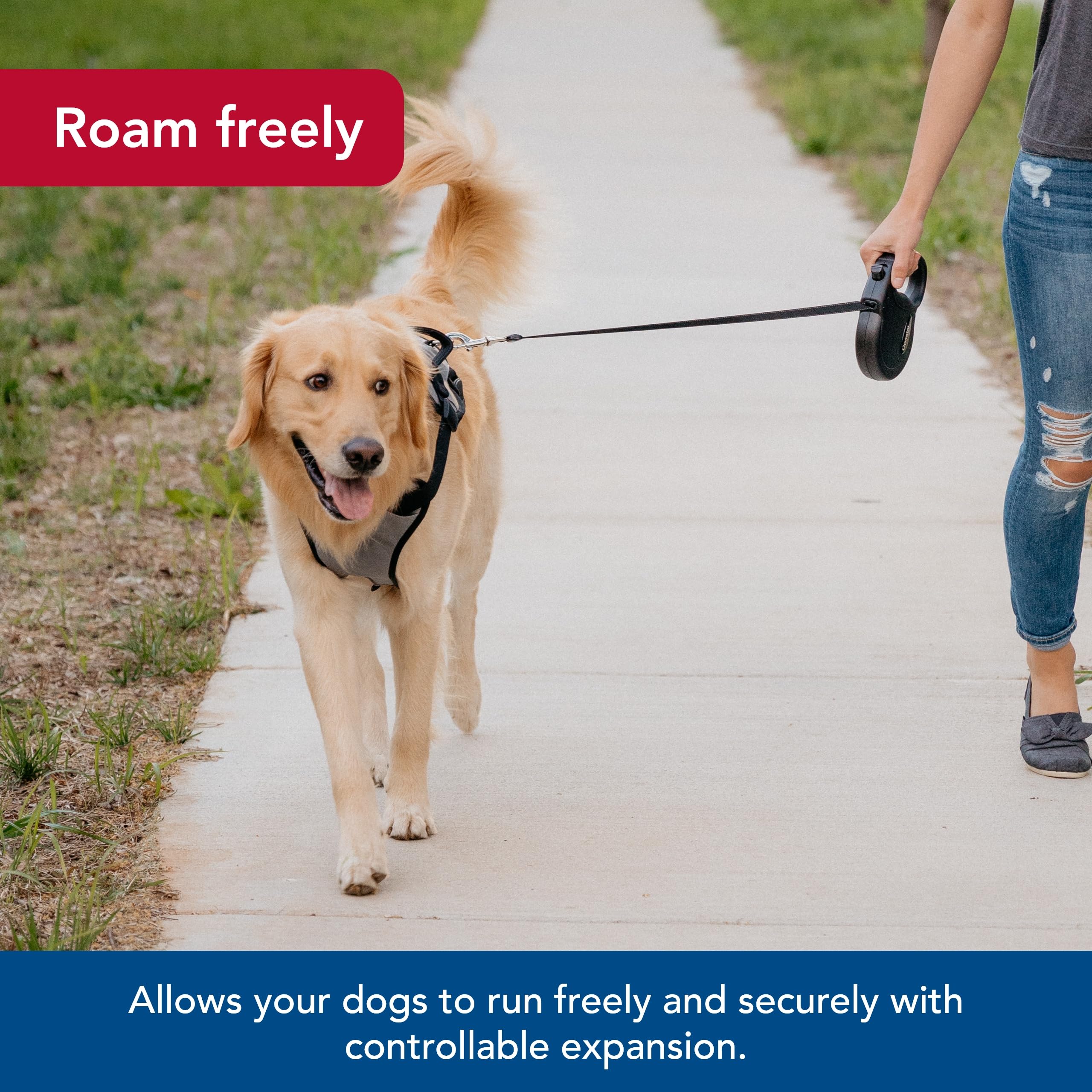 Coastal Pet Power Walker Dog Retractable Leash - Reflective Dog Leash - Stop-And-Release Control Button - Comfort Grip Handle - Blue - Large