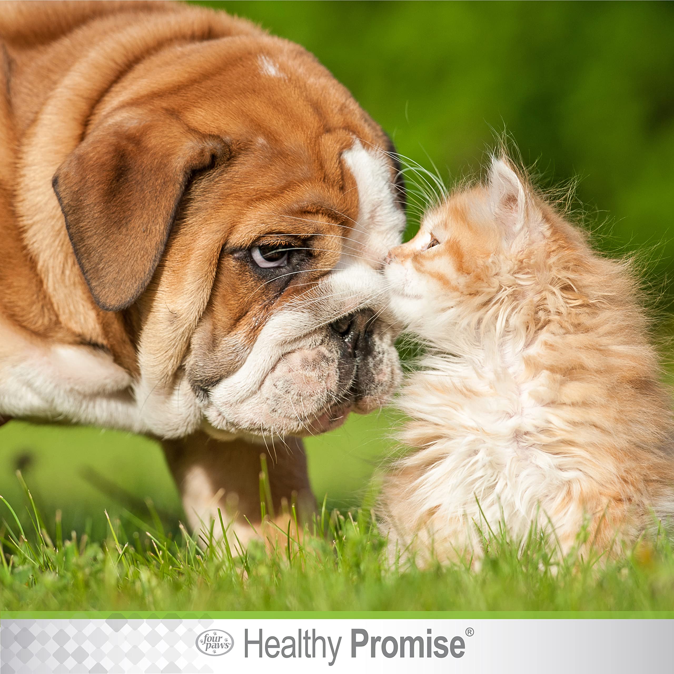 FP 30CT DOG/CAT EYE WIPES