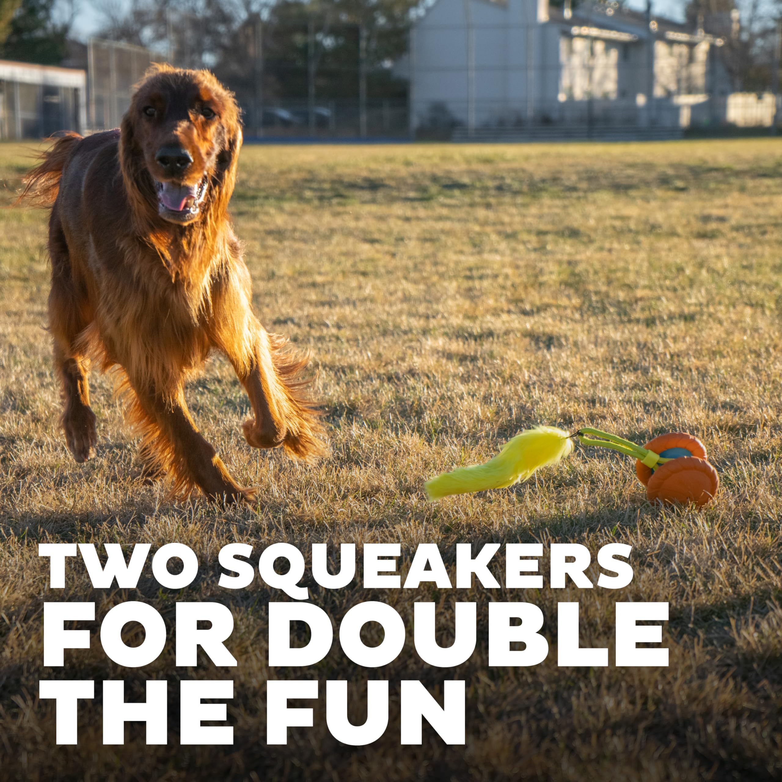Outward Hound Tail Spinner Squeaky Dog Chase Toy With Furry Tail
