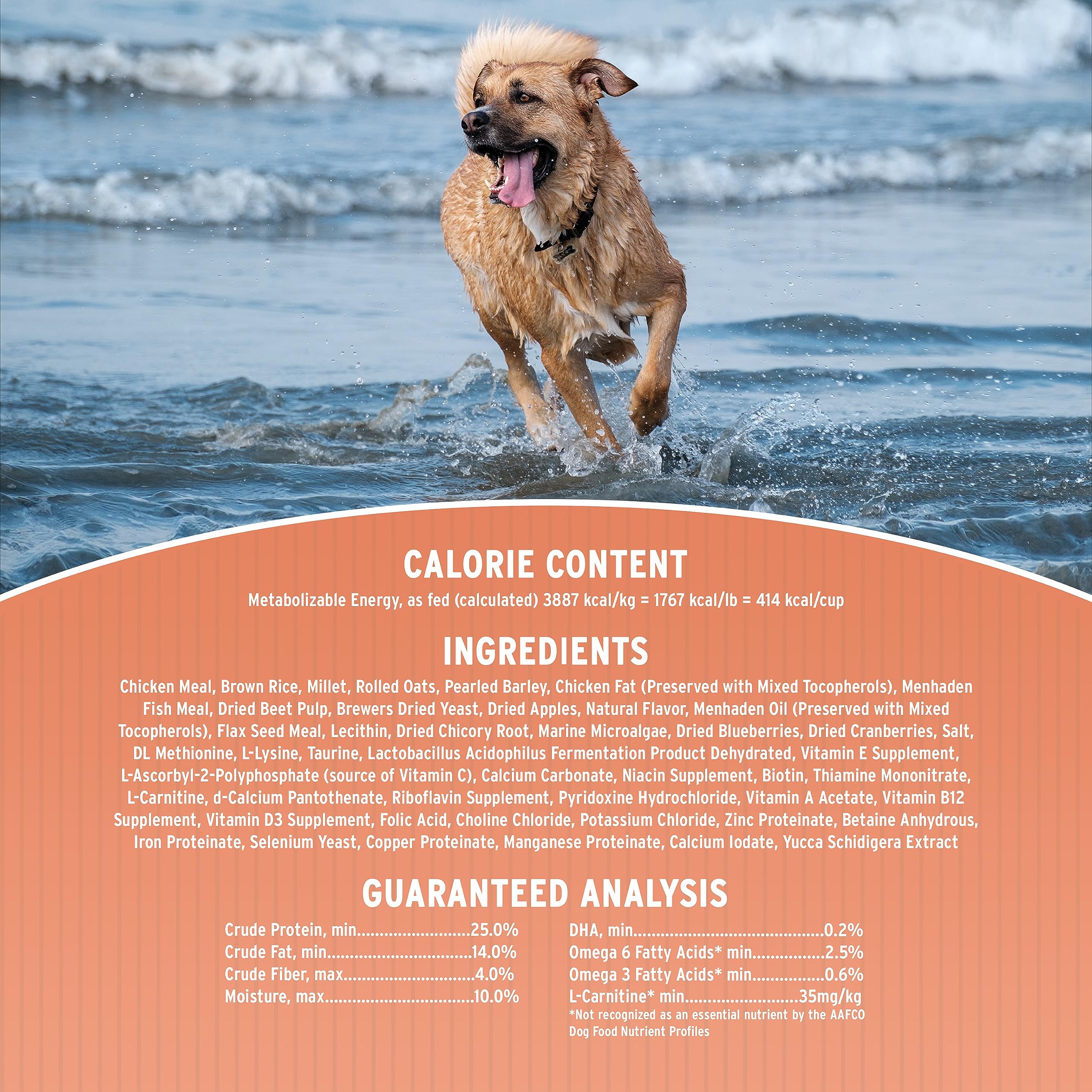 Annamaet Original Medium and Large Breed Formula Dry Dog Food, 25% Protein (Chicken & Brown Rice) - 5 lb. Bag