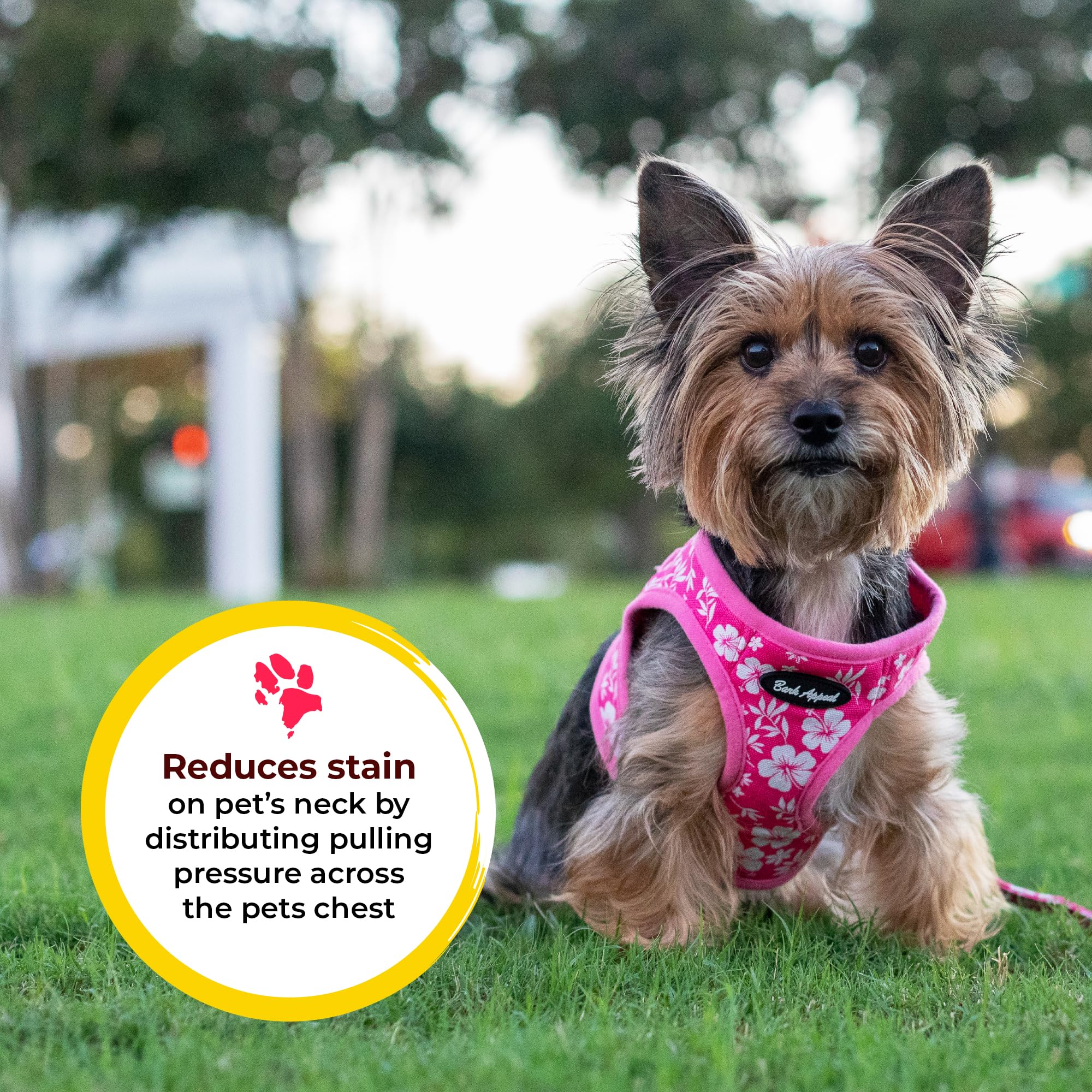 Bark Appeal Lavender Step-In Dog Harness For Small-Medium Pets – Updated Sizing, Re-Measuring Is Essential – Soft Vest Harness – Anti-Choke With Adjustable Strap & Heavy Duty Clip – Small