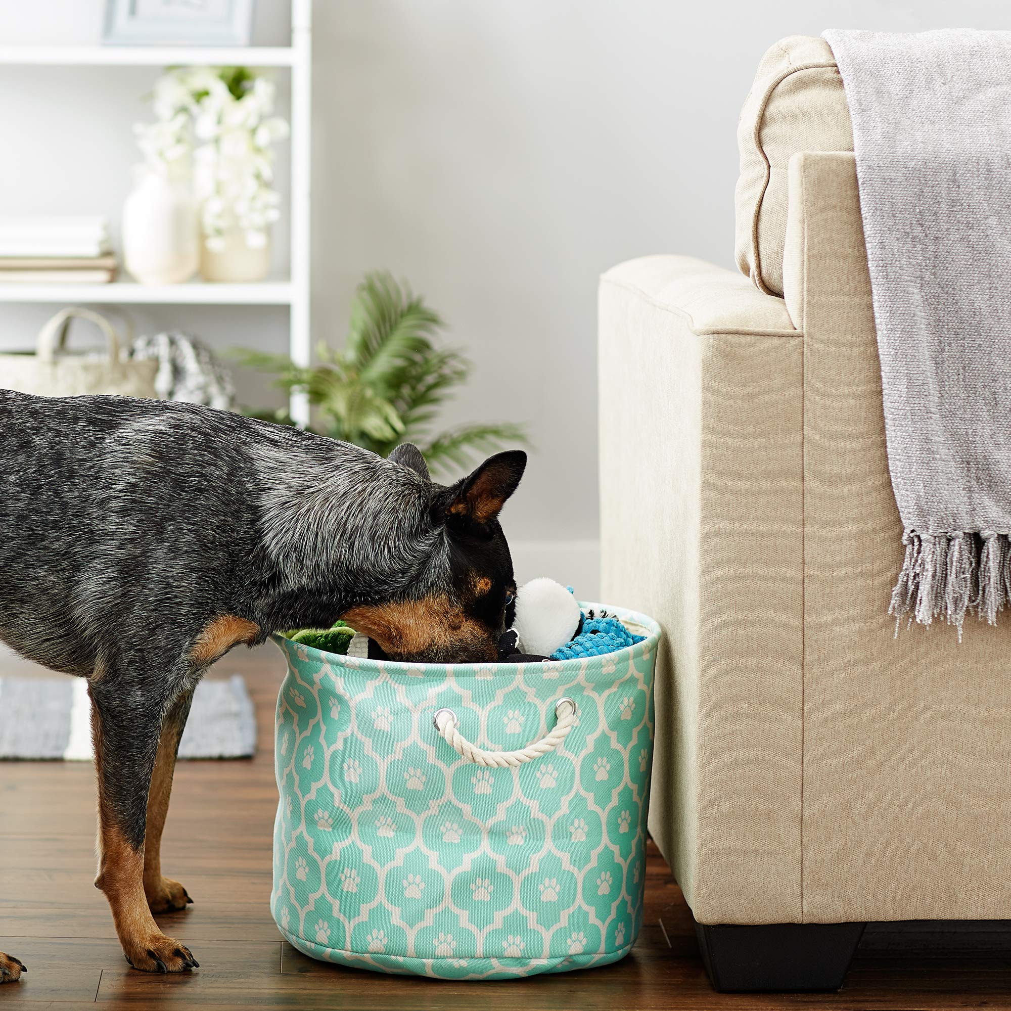DII Polyester Pet Bin Lattice Paw Aqua Round Medium