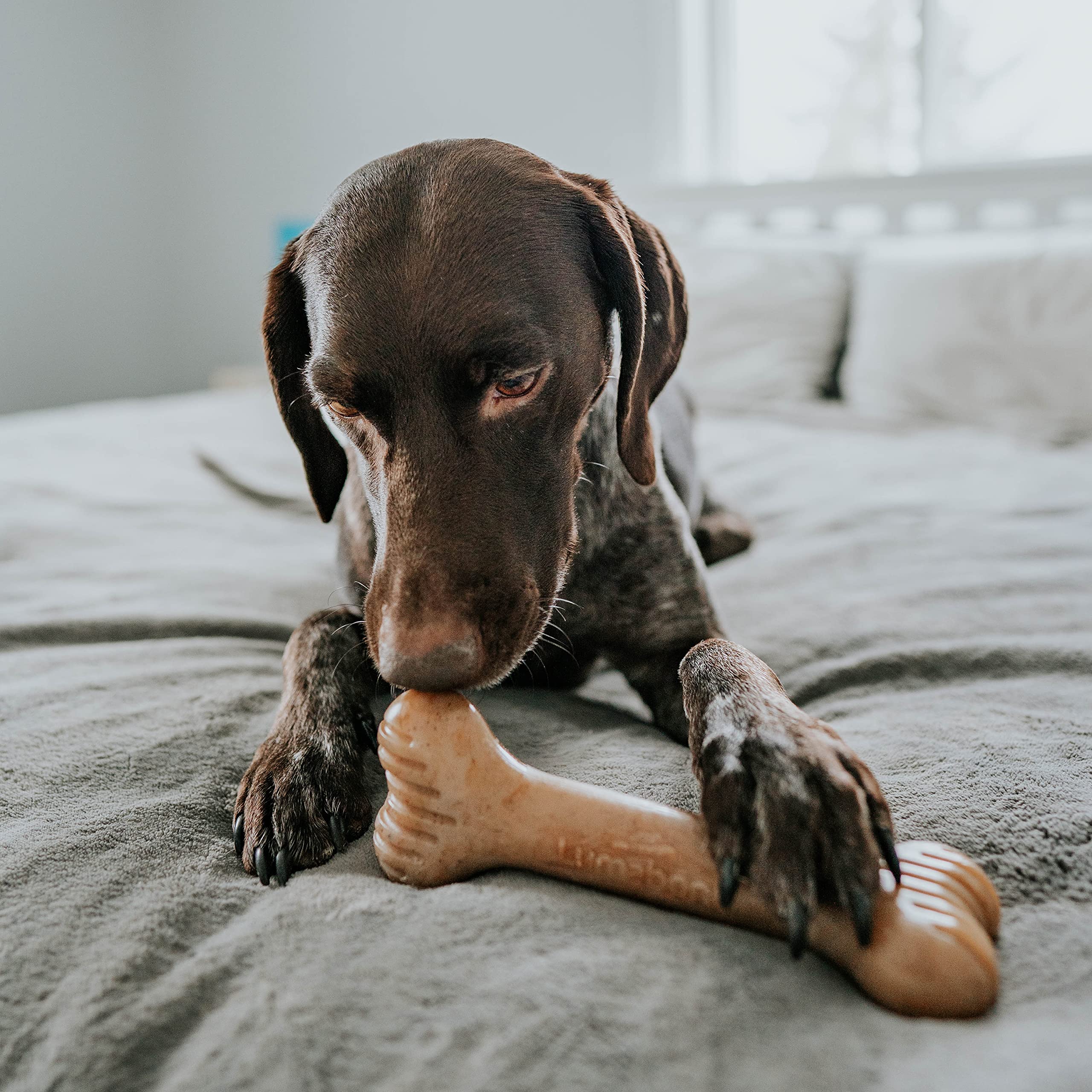 Lumabone Bulkster Durable Chew Toy for Aggressive Chewers - Real Bacon Flavor, Giant Size, Made in USA, Nylon Material