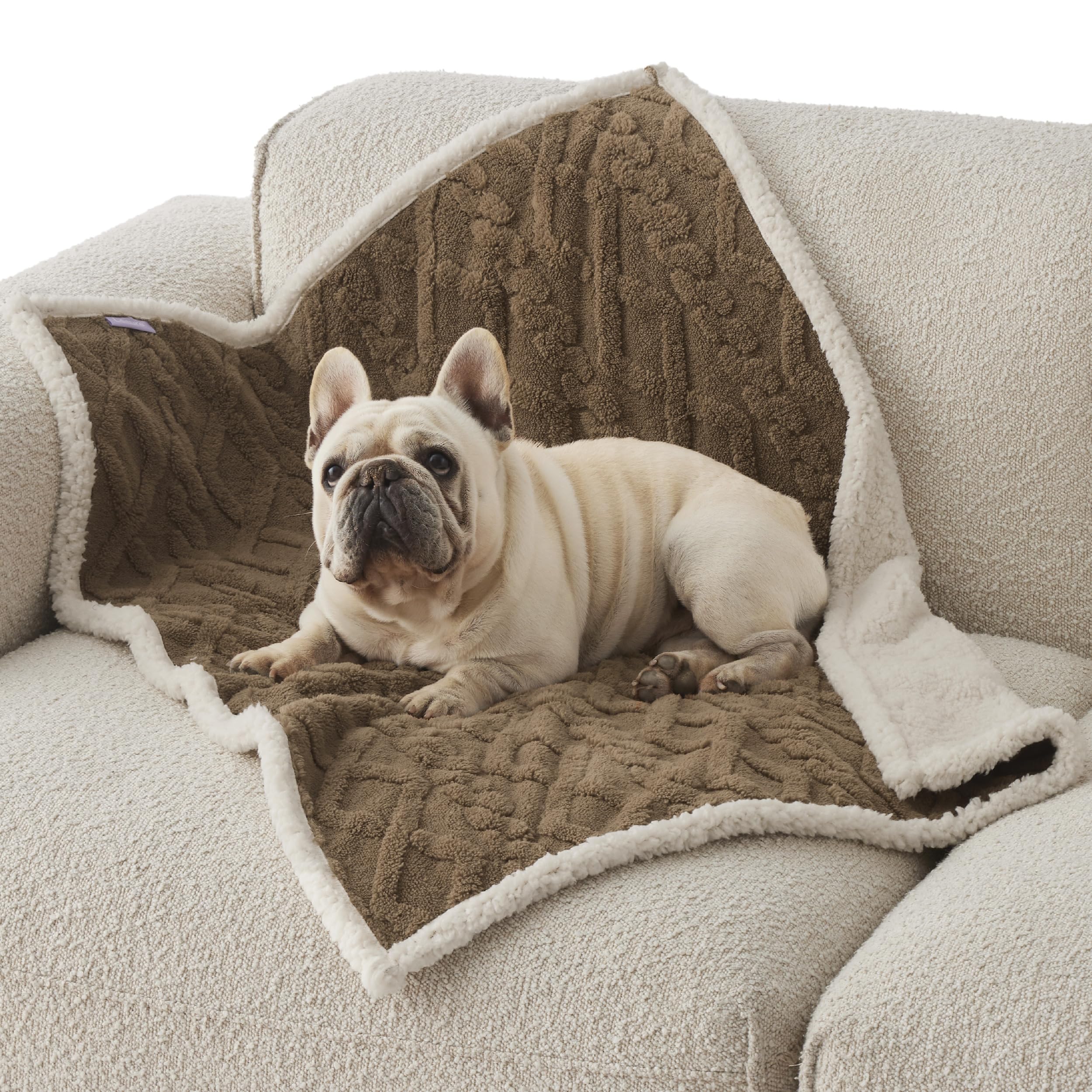 Bedsure Waterproof Dog Blankets For Medium Dogs - Pet Blanket For Couch Protector Washable, Premium Jacquard Coral Fleece Cat Th