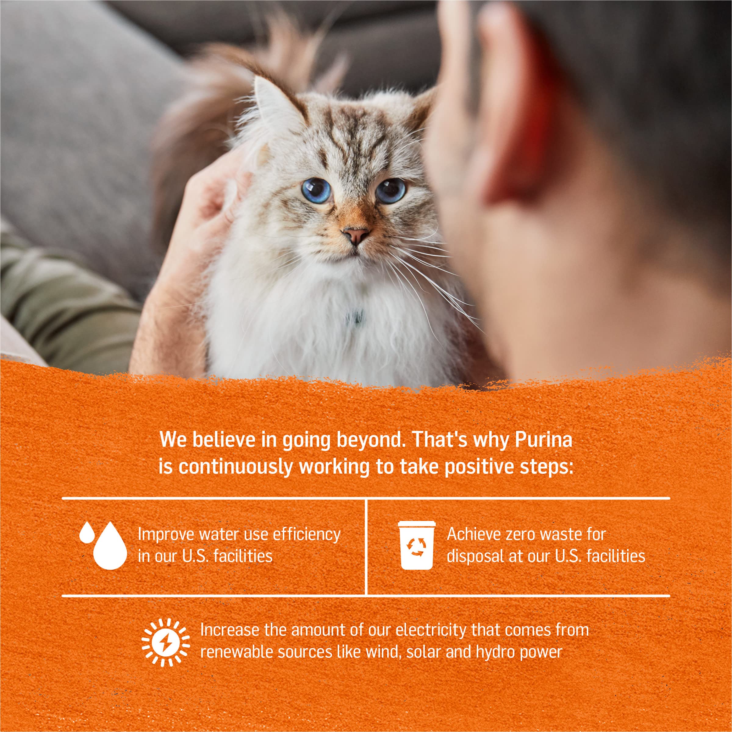 Purina Beyond Grain Free Wet Cat Food Pate Variety Pack Poultry 12ct VP - (2 Packs of 12) 3 oz. Cans