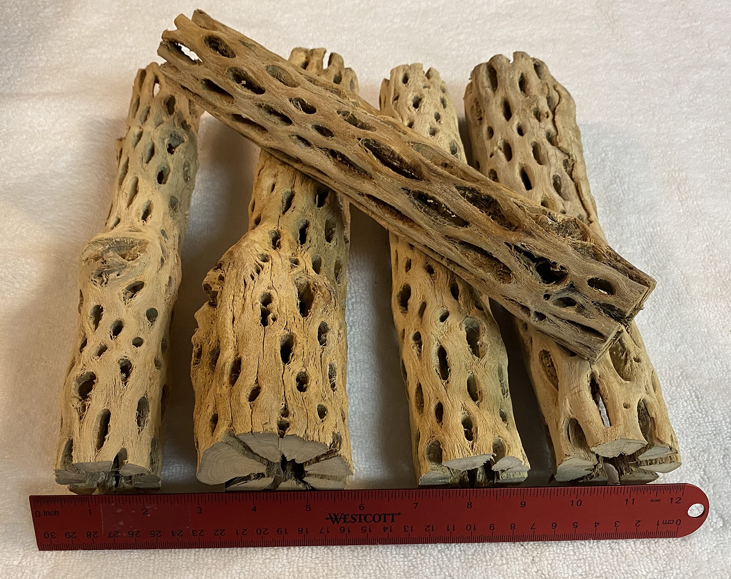 Awesome Aquatic 12 Inch 2-3    Thick Xl Teddy Bear/Chain Fruit/Buckhorn/Staghorn Cholla Wood Hollow Tube Wood Cactus Skeleton Tu