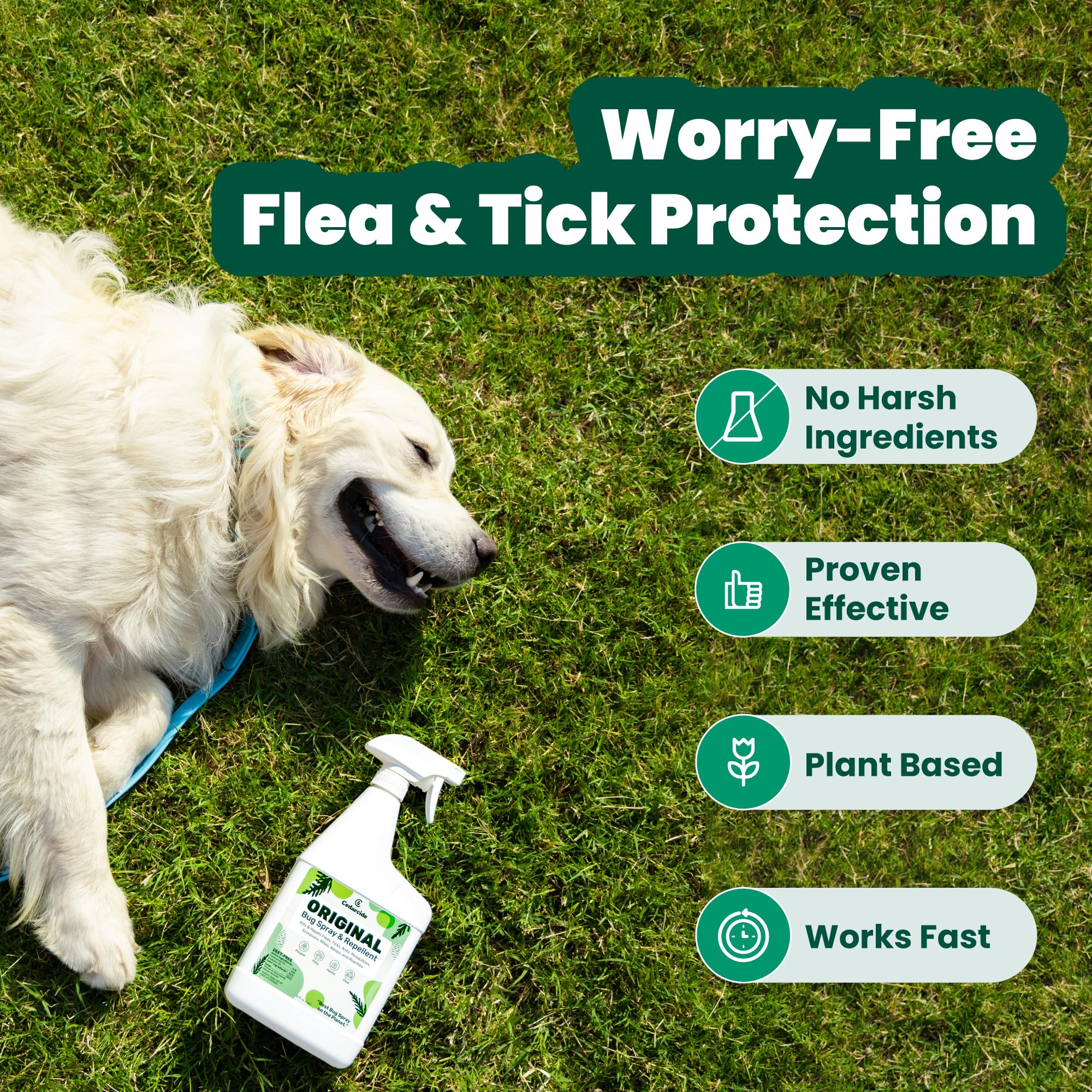 Cedarcide Original Bug Spray - Natural Cedar Oil, Eco-Friendly, 32 Fl Oz, Kills Fleas, Ticks, Mosquitoes, for People & Pets