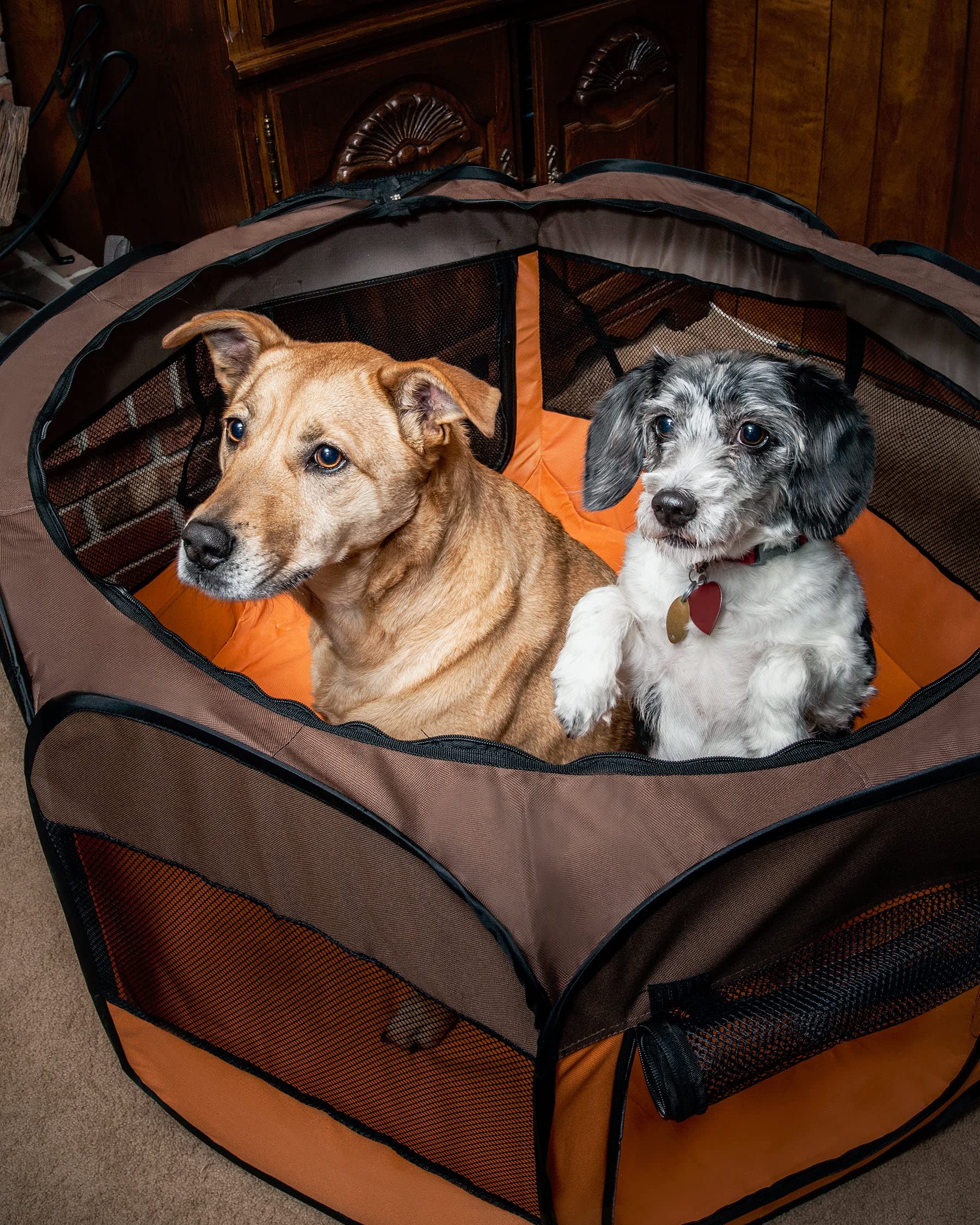 All-Terrain Lightweight Easy Folding Wire-Framed Collapsible Travel Pet Playpen(D0102H7LCKY.)