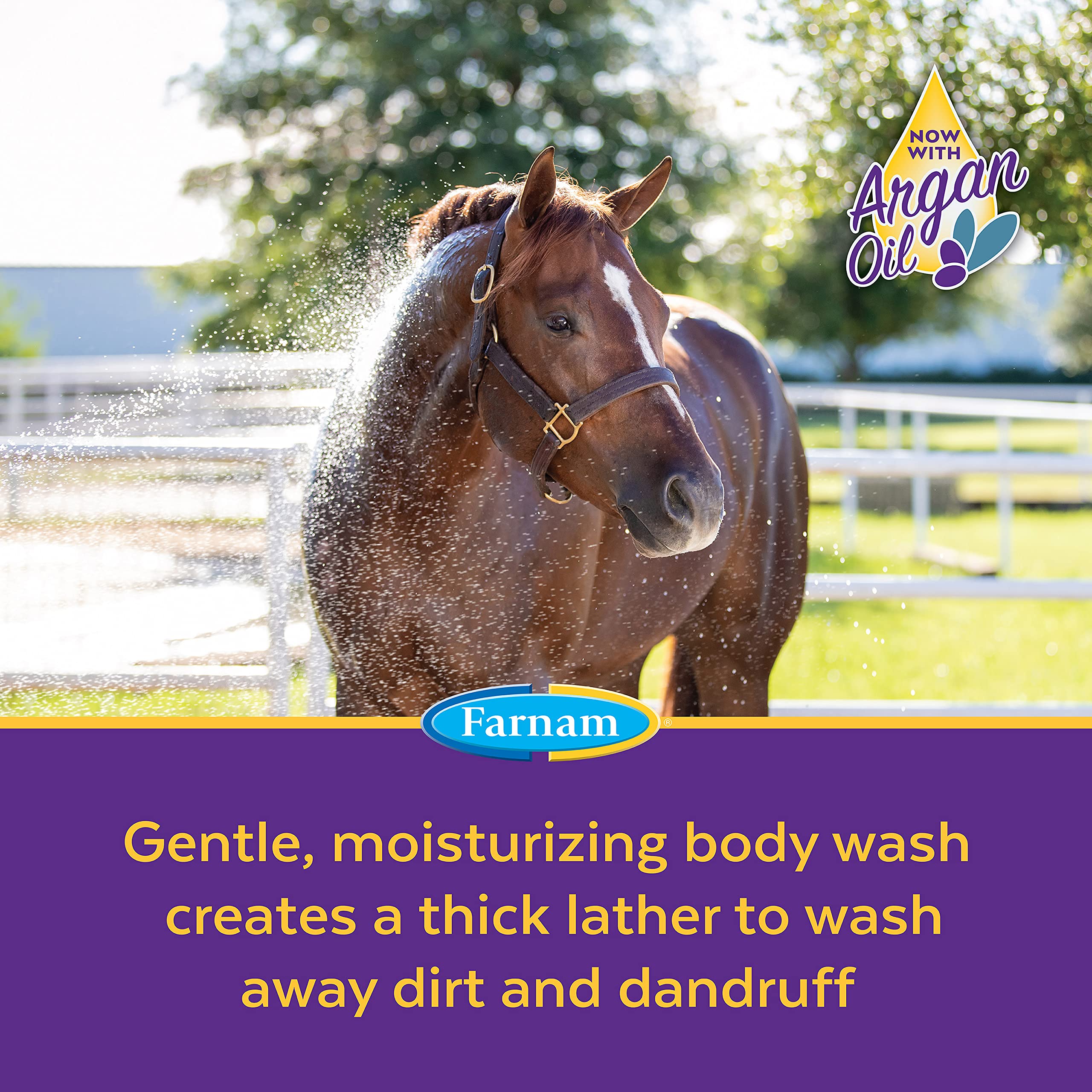 Farnam Vetrolin Body Wash Ultra-Hydrating Shampoo for Horses and Dogs 32 Ounces,Green