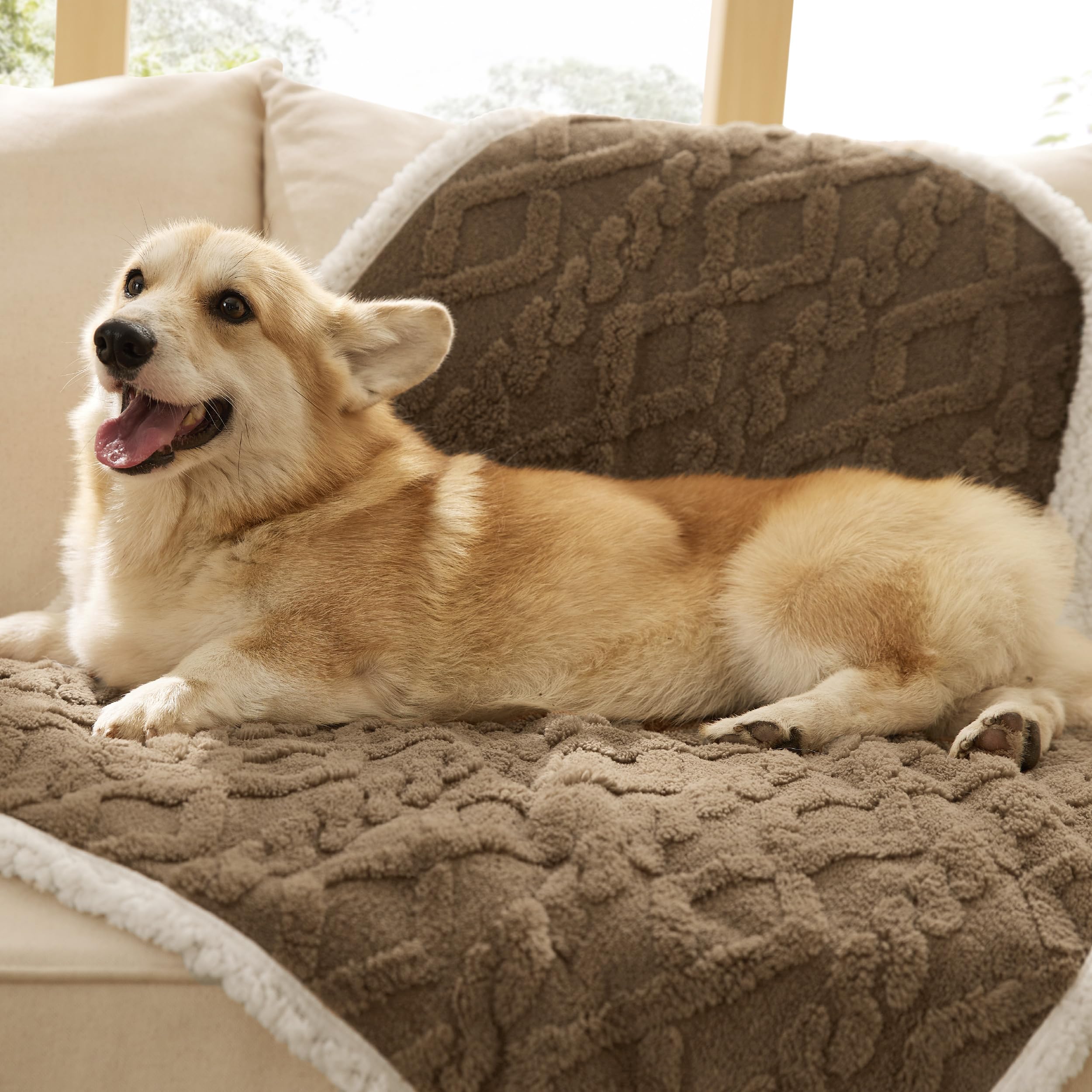 Bedsure Waterproof Dog Blankets For Medium Dogs - Pet Blanket For Couch Protector Washable, Premium Jacquard Coral Fleece Cat Th