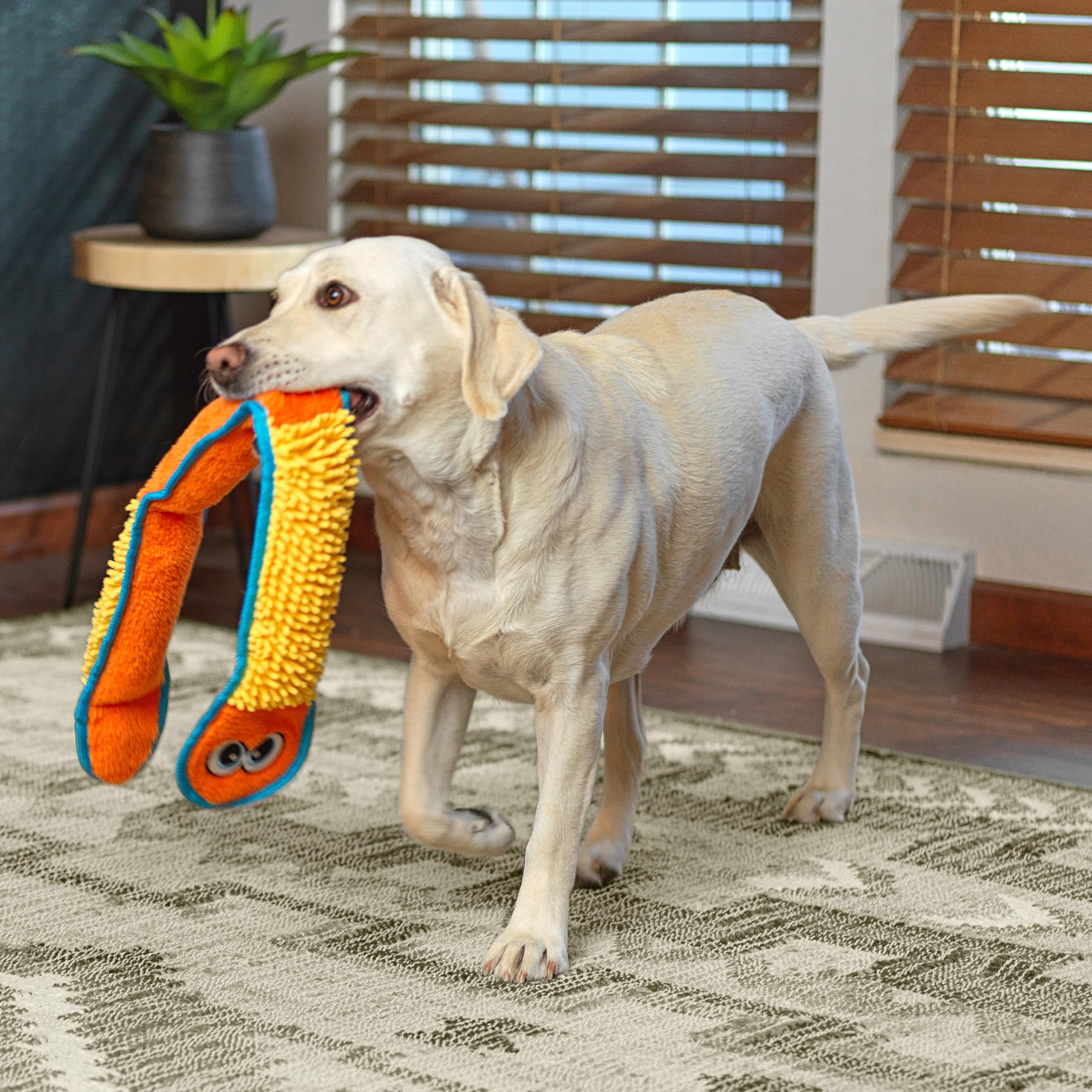 Outward Hound Tough Plush Squeaky Dog Toy, Nubby Snake, XL, Polyester, Model 68254, Blue