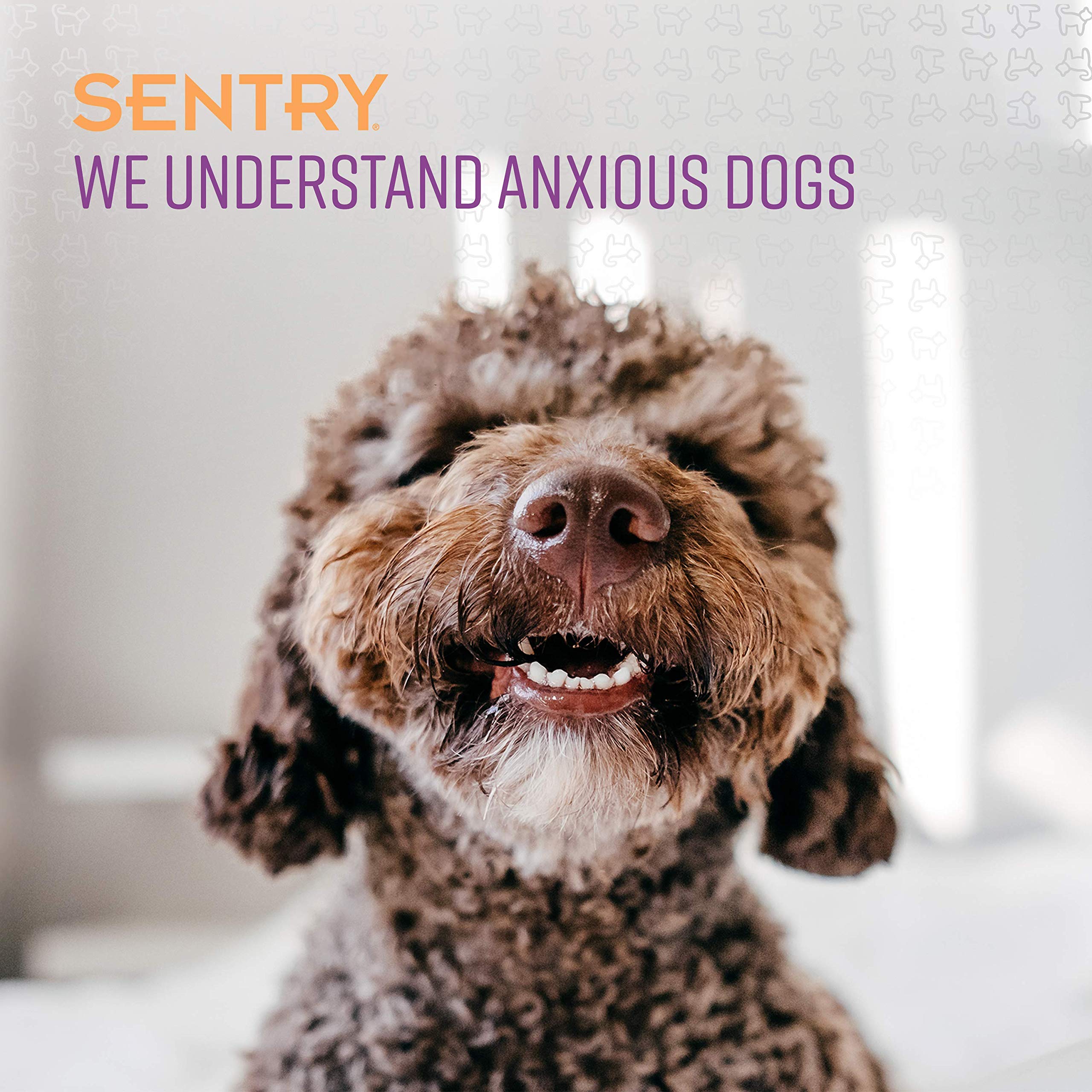 Sentry Stop That! Behavior Correction Spray For Dogs, Pheromone Mist And Noise, 1 Oz