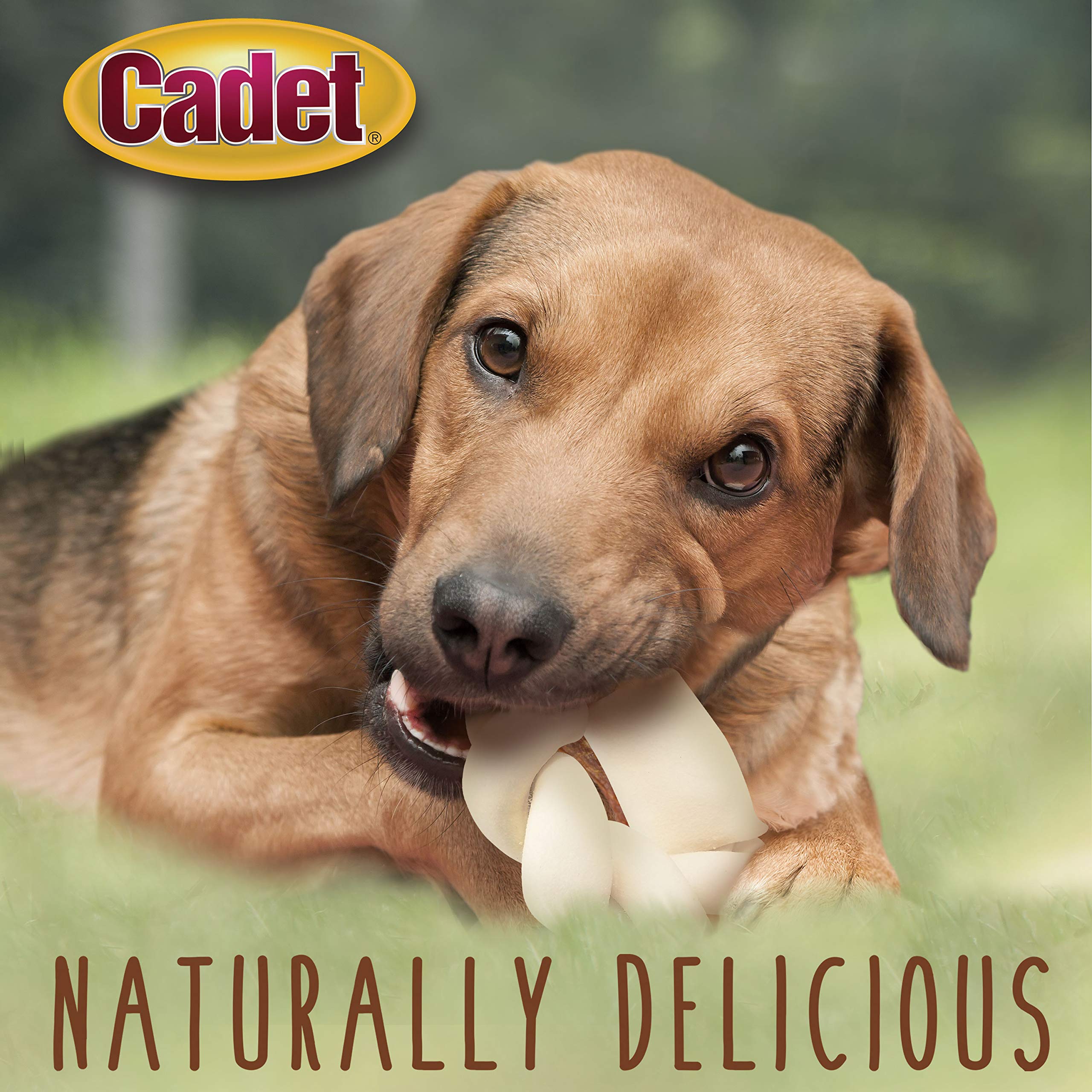 IMS PET Cadet Rawhide Treats Gourmet 5 Braided Rawhide Donut Pack of 3
