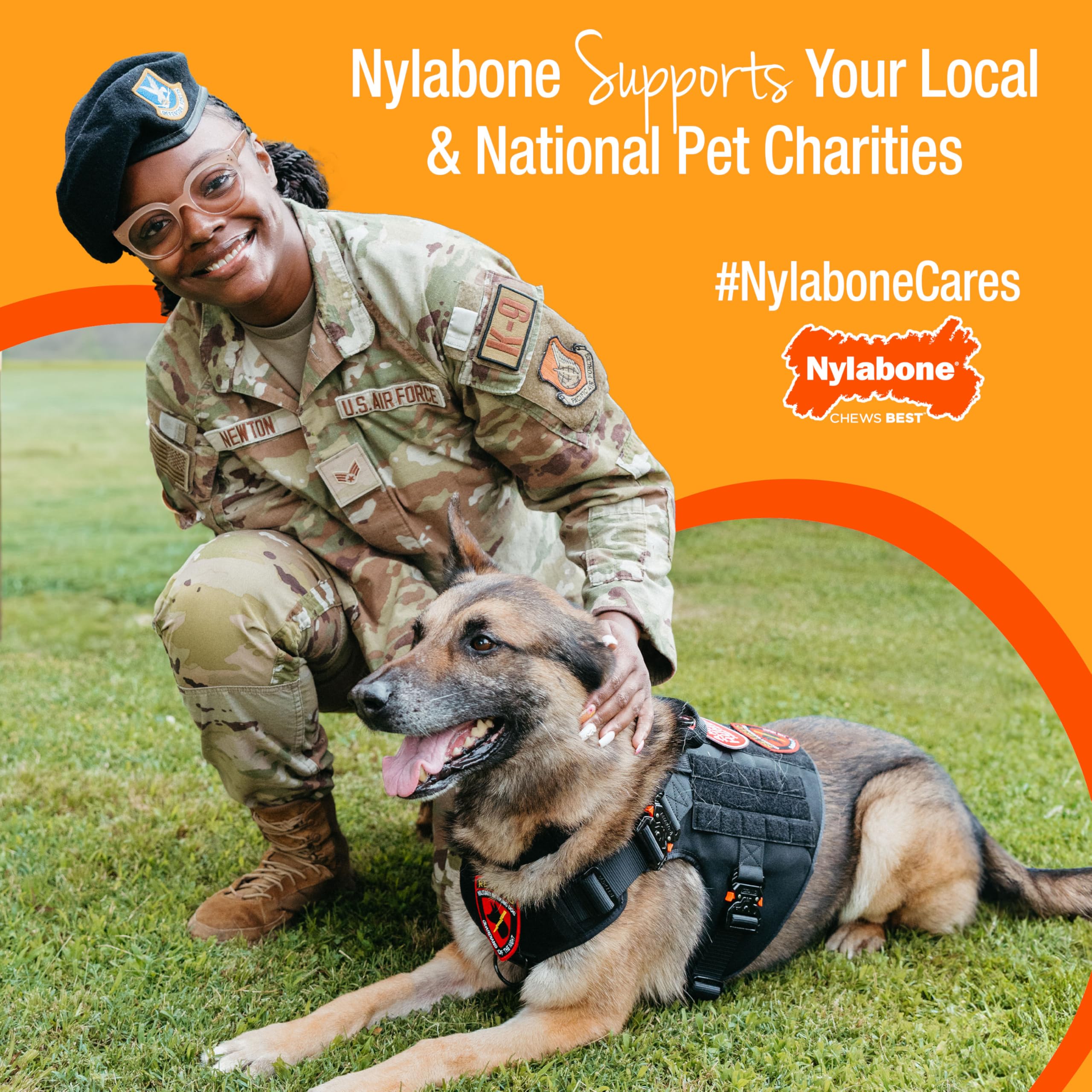 Nylabone Healthy Edibles WILD Natural Long-Lasting Bison Flavor Bone Chew Treats for Dogs, Small (8 Count)