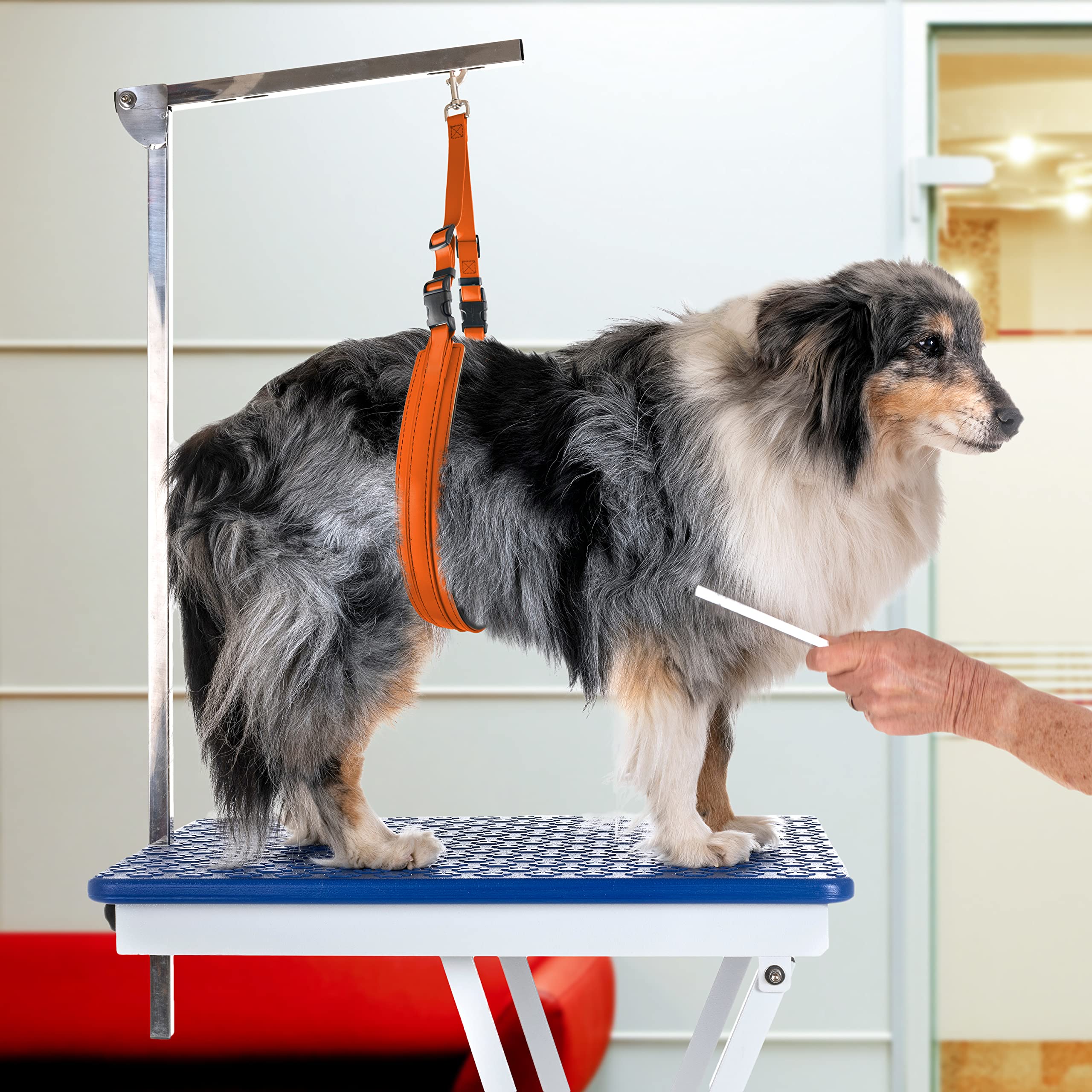 Jelly Pet Dog Belly Loop Restraint For Pet Grooming Table And Tub - Easy To Clean And Waterproof (Teal) | Made In The Usa