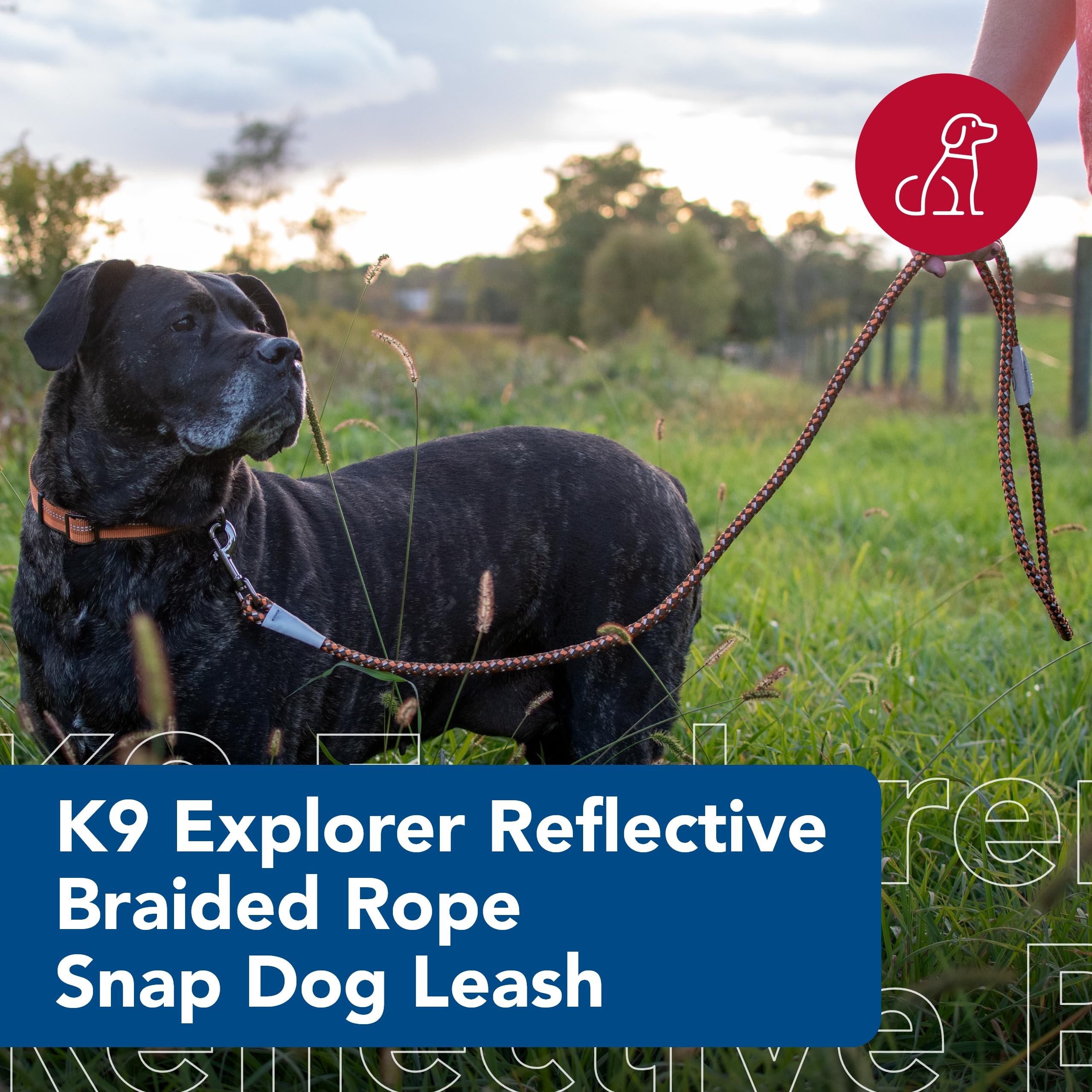Coastal Pet K9 Explorer Reflective Braided Rope Snap Dog Leash - Heavy-Duty Leash - Comfortable & Secure Grip - Reflective Cord