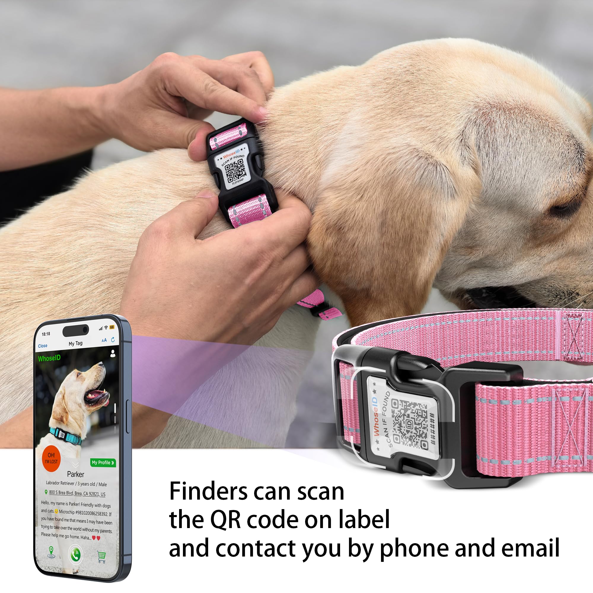 Airtag Dog Collar With Qr Code, Reflective, Soft Padded & Safety Locking Buckle, Adjustable For Small Dogs (S-With Airtag Holder