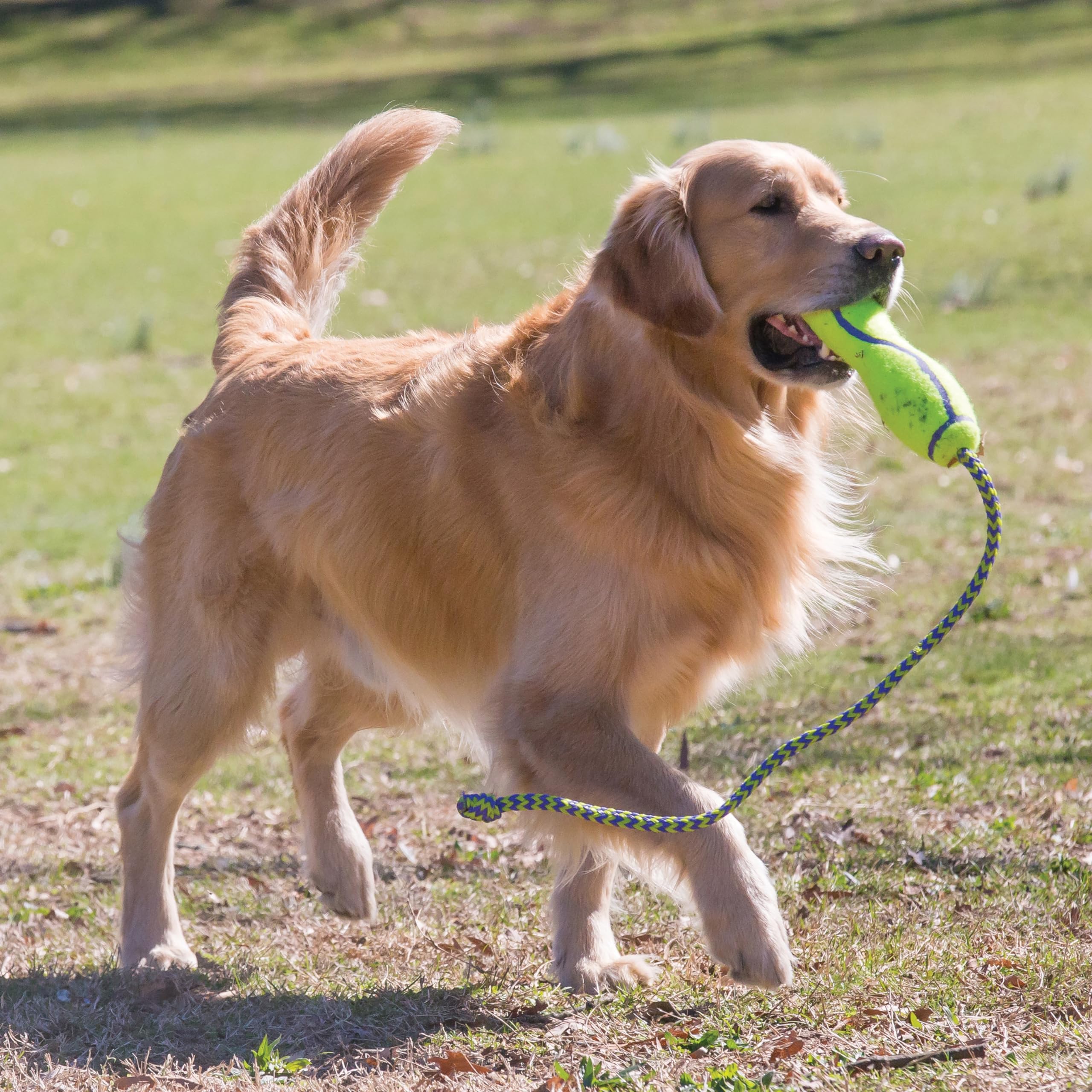 Kong Airdog Stick Lg