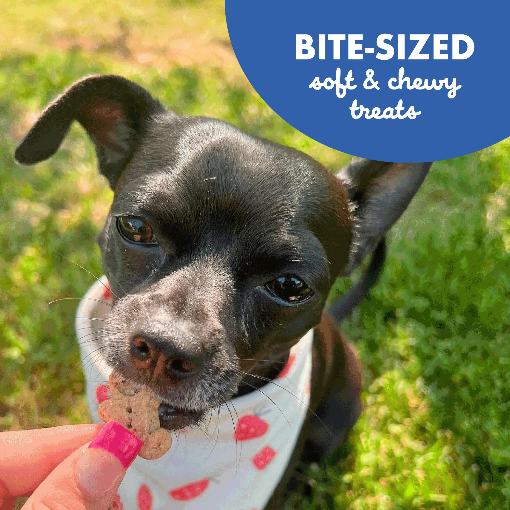 Buddy Biscuits Original Soft & Chewy w/Bacon & Cheese - 20oz.
