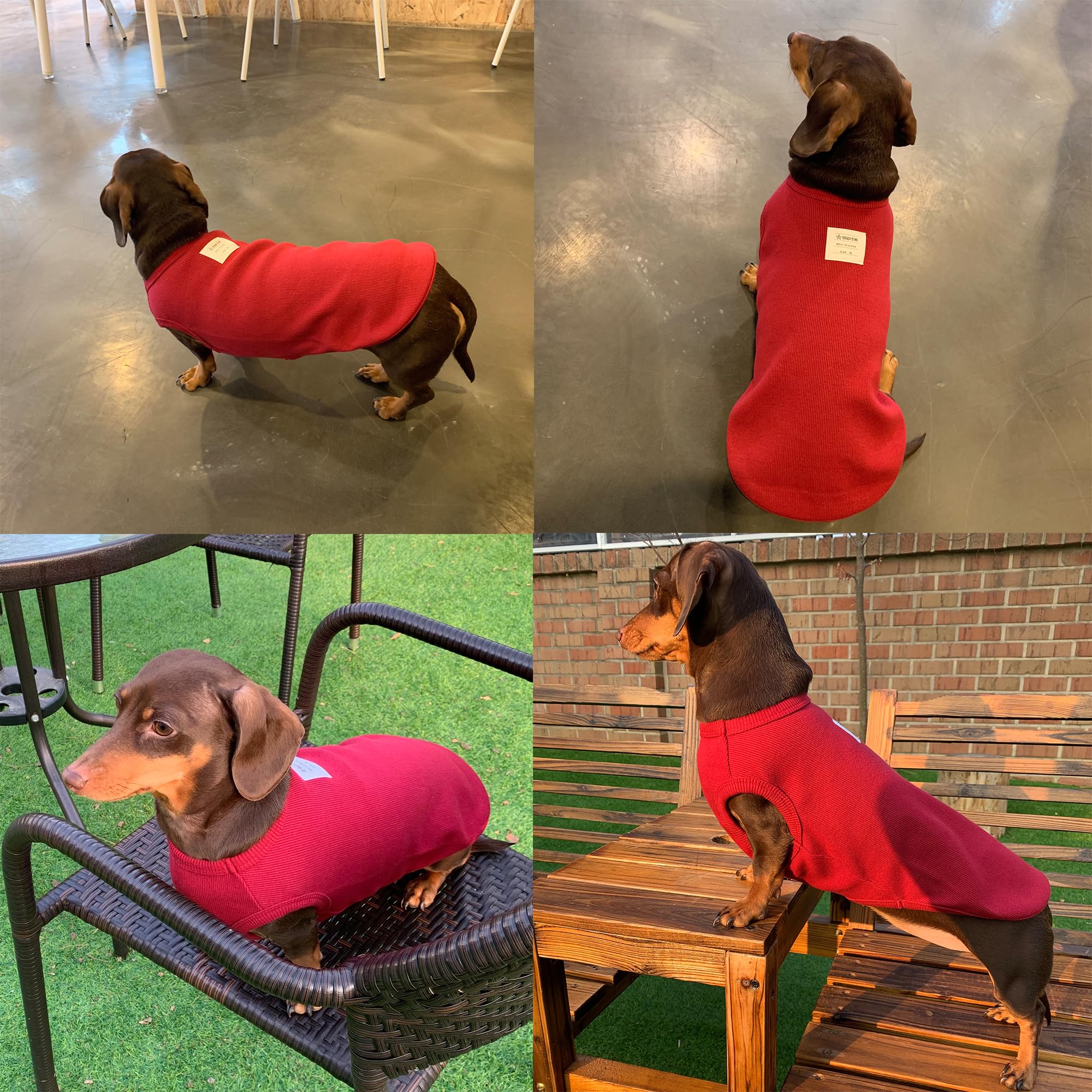 D Doggy Star Dachshund Clothes For Dogs Mini And Adults T Shirts (Xs,Solid Wine)