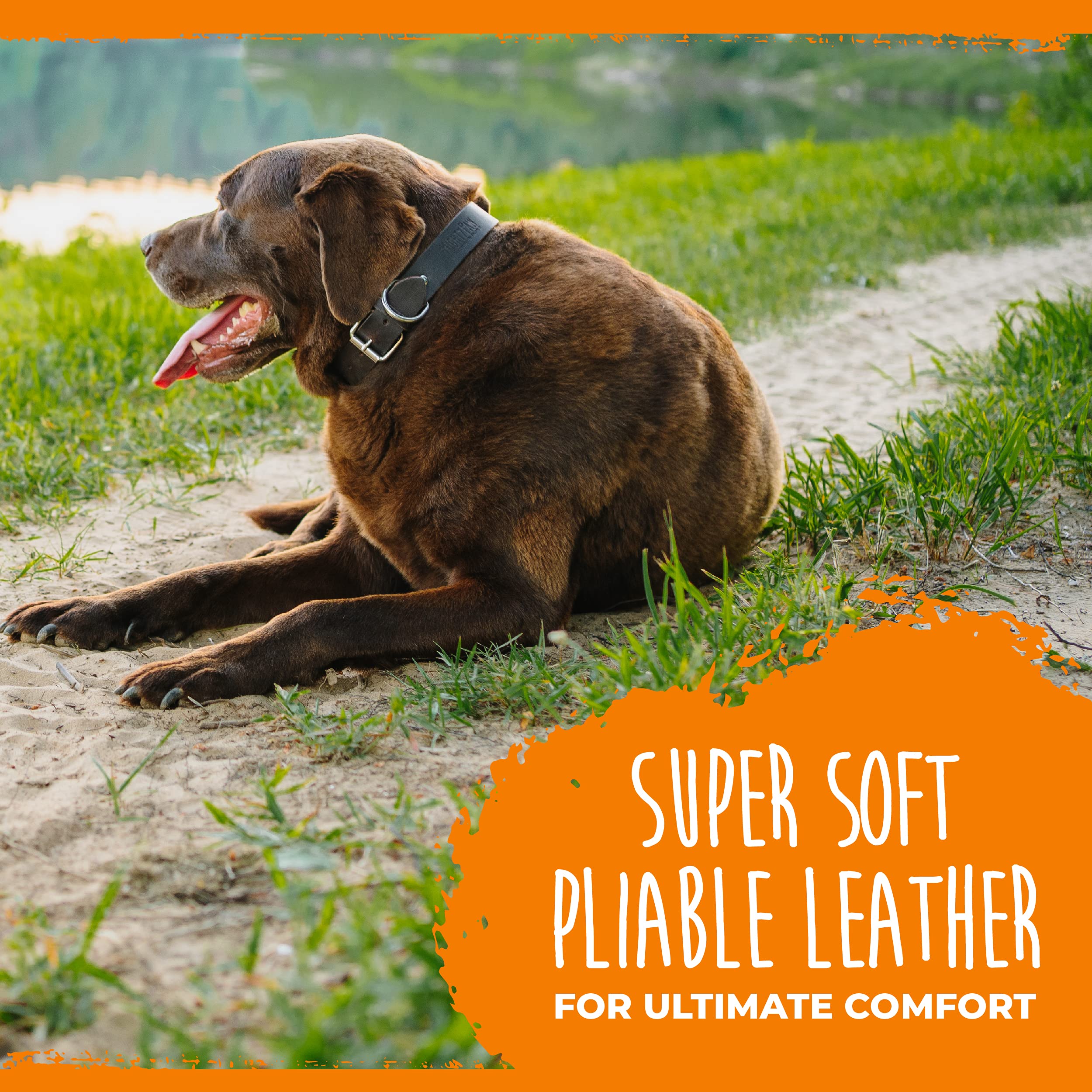 Mighty Paw Leather Dog Collar - Genuine Material - Strong Metal Pet Buckle - Ultimate Comfort - Comfort Dog Collar - Strong Dog