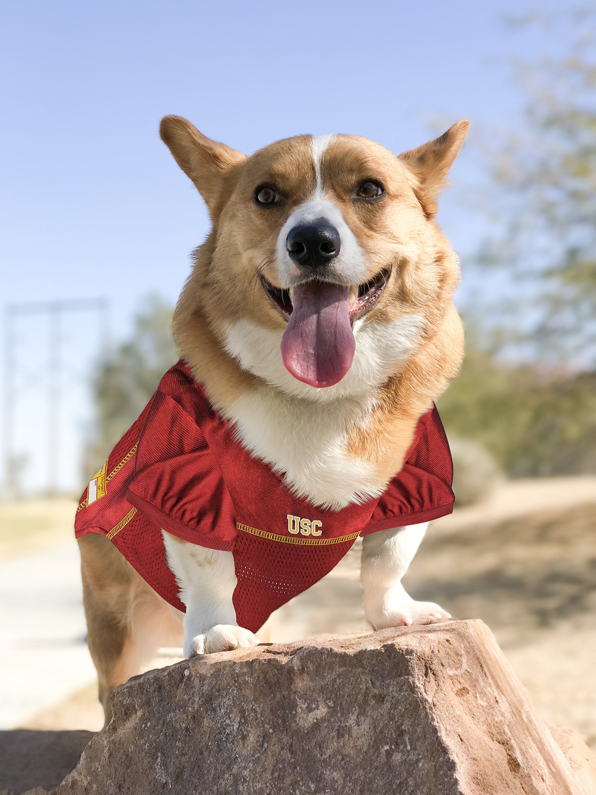 Pets First NCAA College USC Trojans Mesh Jersey for DOGS & CATS, Medium. Licensed Dog Jersey with your Favorite Football/Basketb