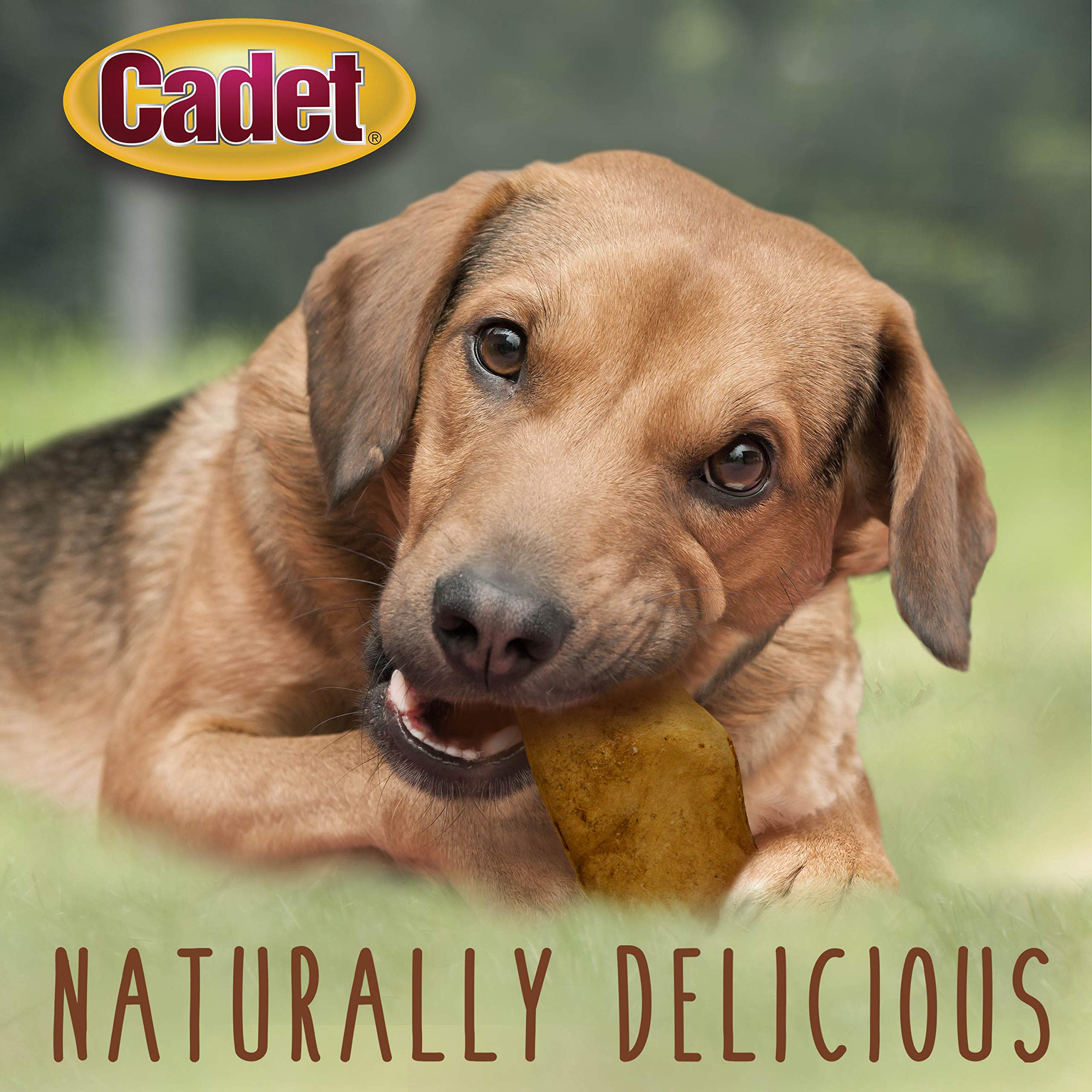 Cadet Premium Grade Beef Hide for Dogs, Long-Lasting Rawhide Chips, Single Ingredient Dog Chews, Peanut Butter Flavor, 1 Pound