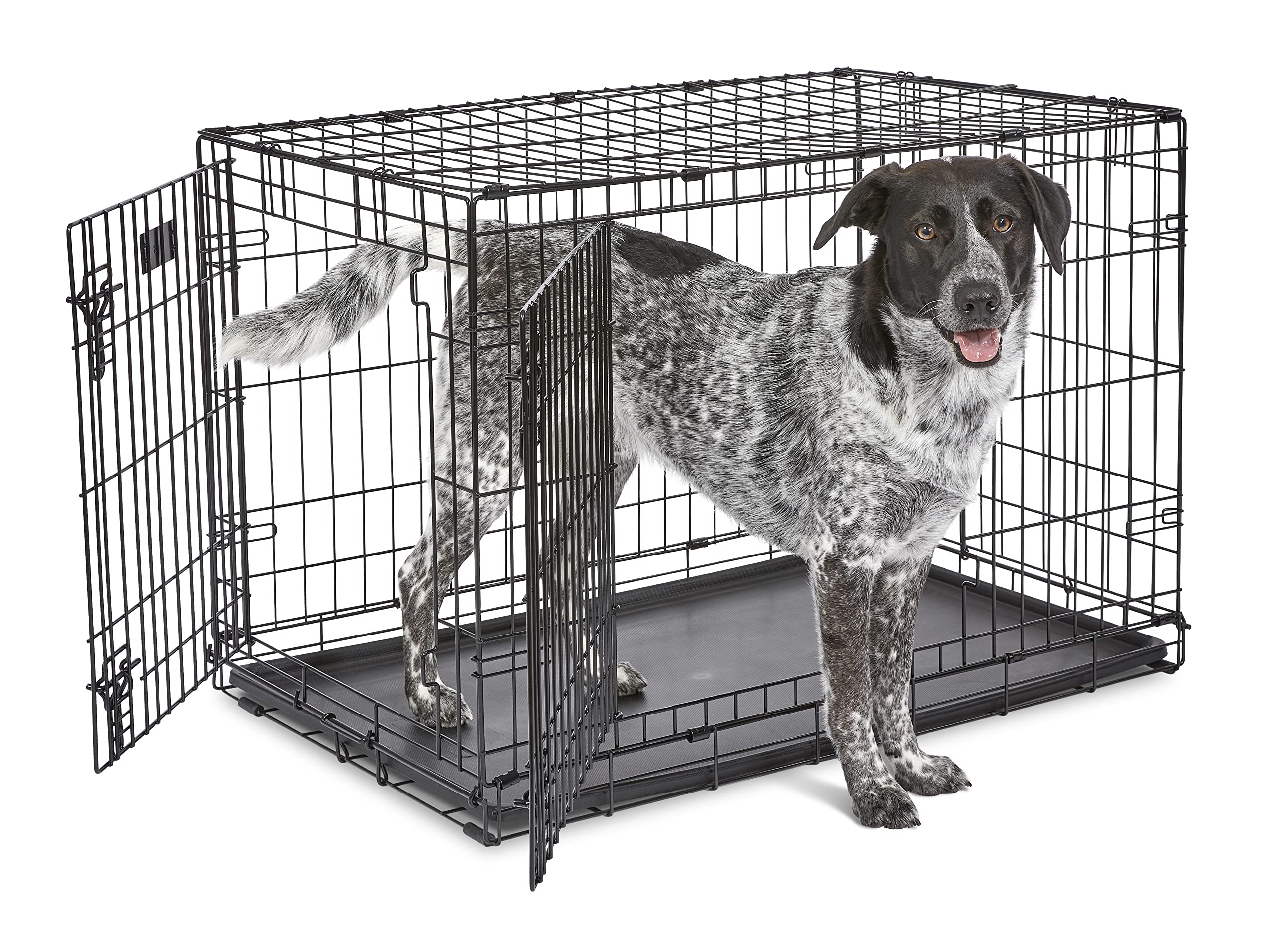 Midwest Homes For Pets Newly Enhanced Double Door Icrate Dog Crate, Includes Leak-Proof Pan, Floor Protecting Feet, Divider Panel & New Patented Features
