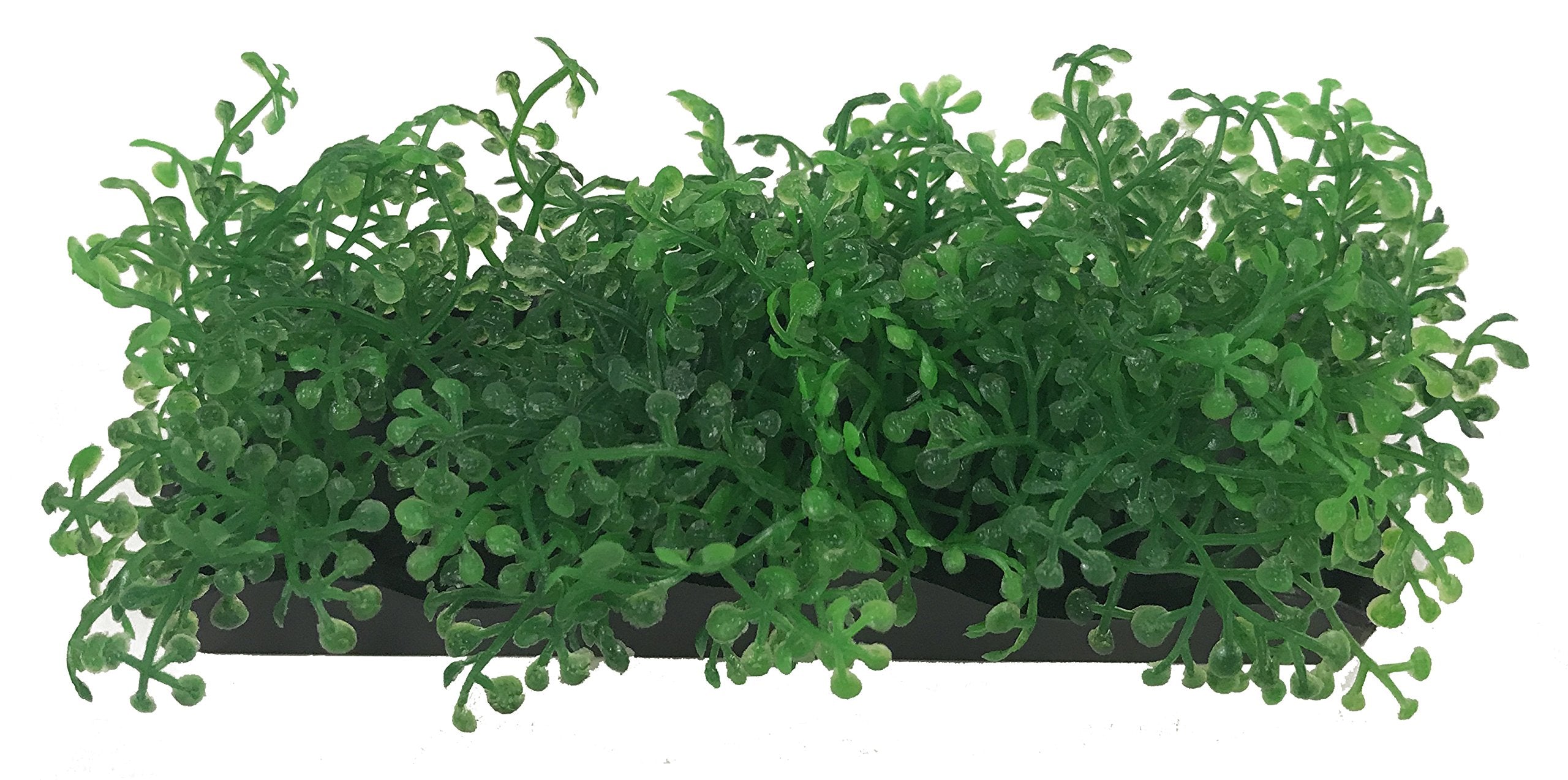 Penn-Plax Aqua-Scaping Small Green Bunch Plant-5 Piece Pdq