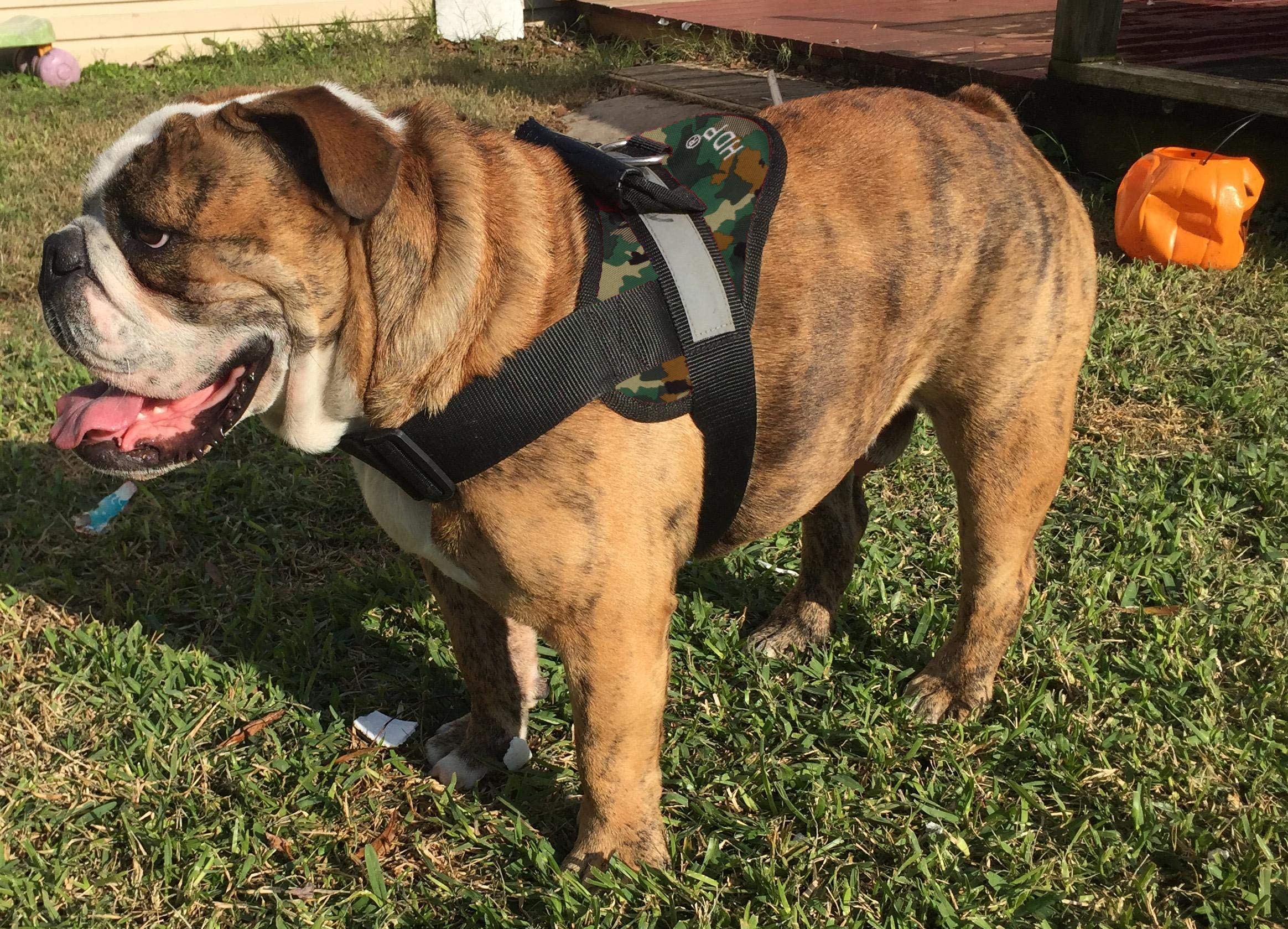 HDP Big Dog Soft No Pull Harness Size:XXLarge Color:Camo