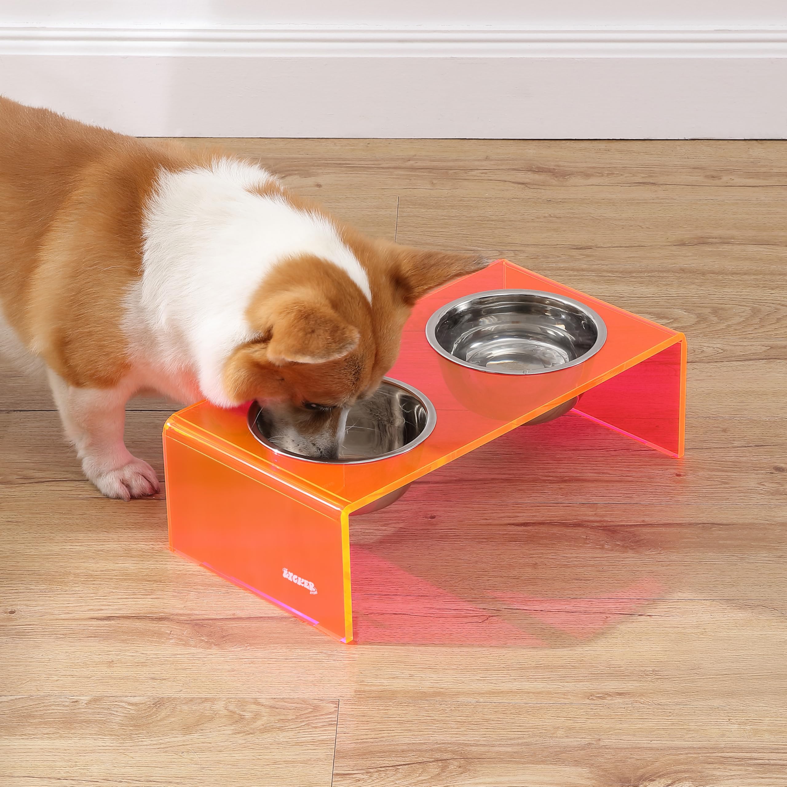 The LICKER Store DBL2000E Keaton 5 Small/Medium Modern Acrylic Rectangular Elevated Pet Feeder with 20oz 2-Stainless Steel Bowls