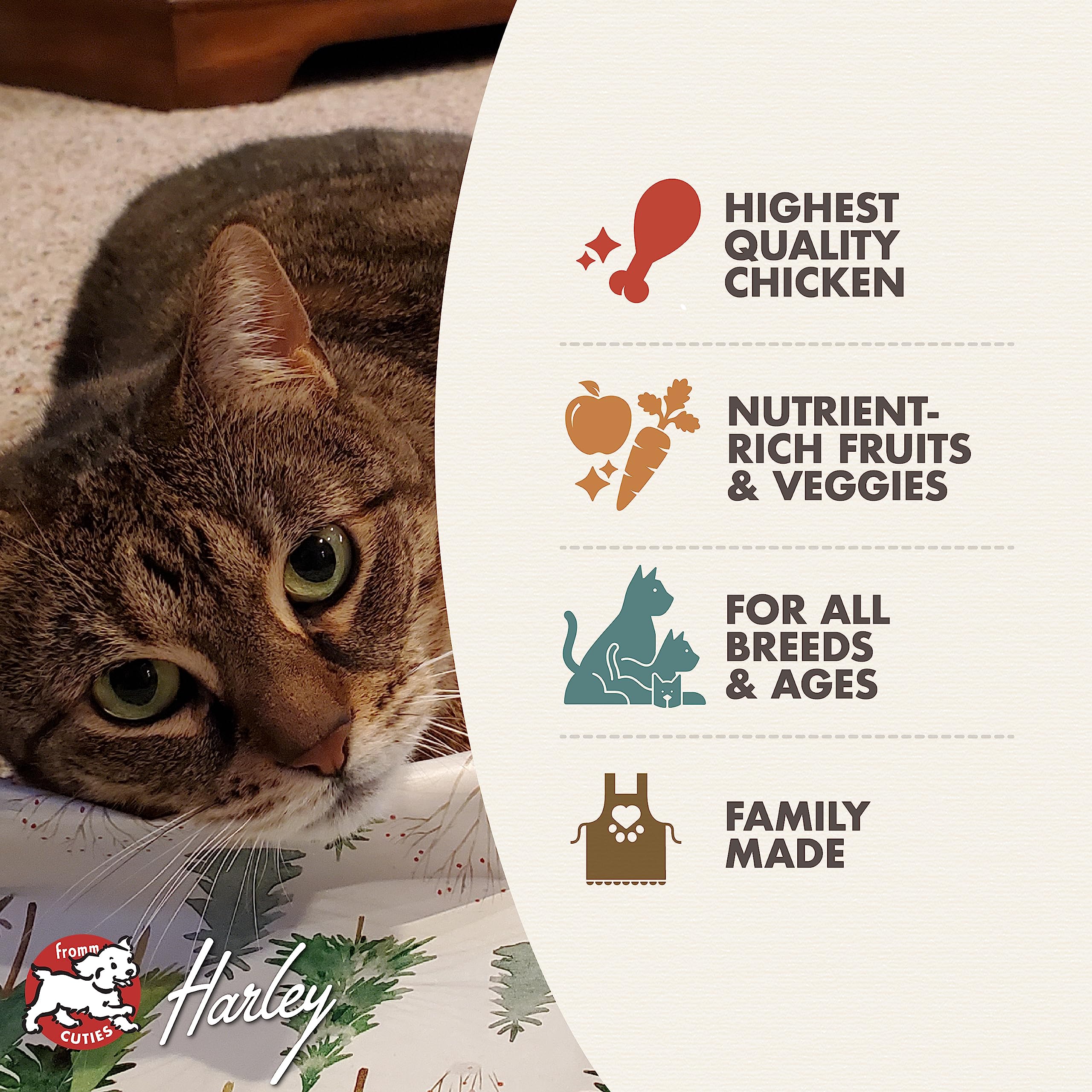 Fromm Four-Star Nutritionals Chicken Au Frommage Cat Food - Premium Dry Cat Food - Chicken Recipe - 10 lb
