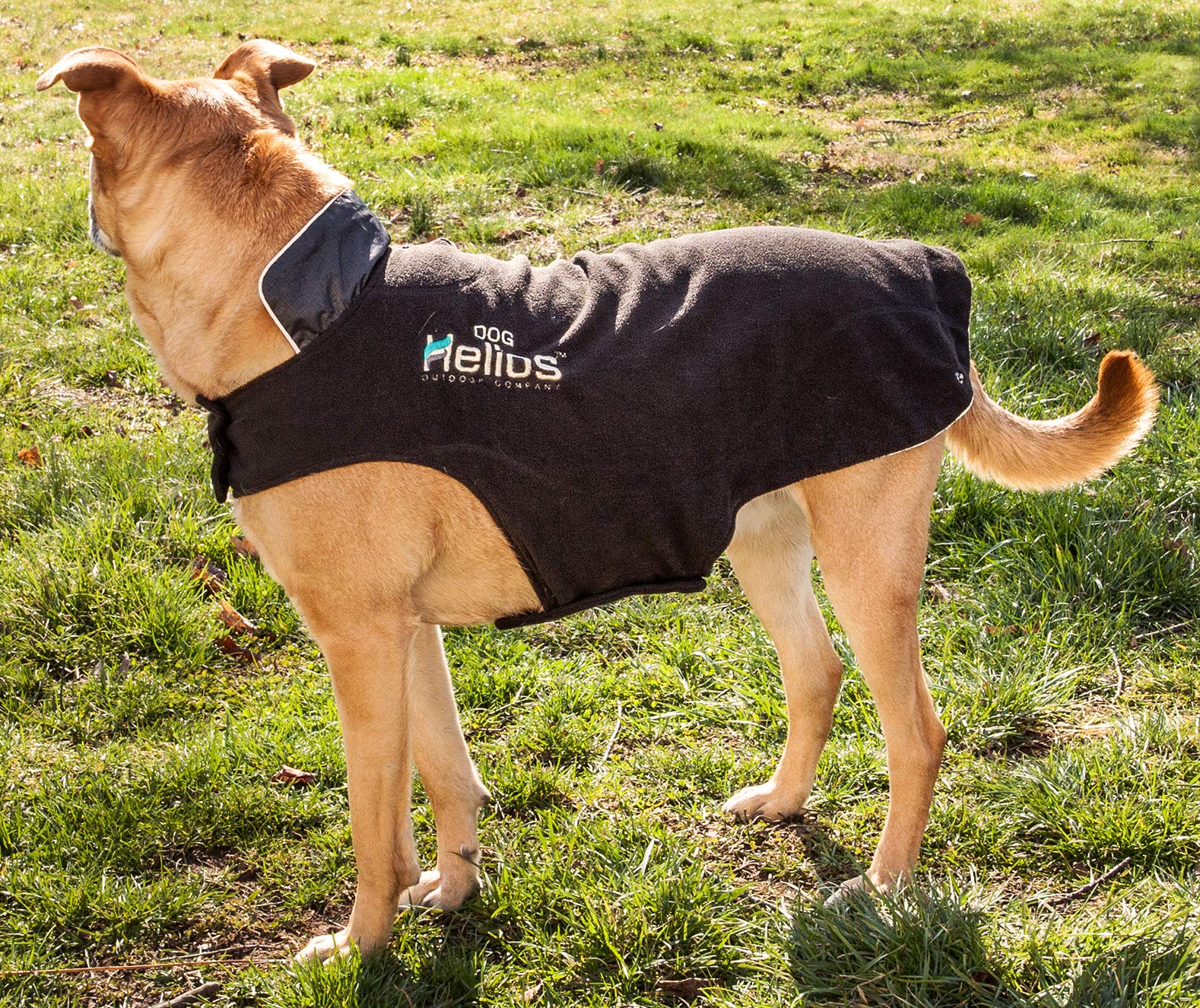 Helios Lotus-Rusher Waterproof 2-in-1 Convertible Dog Jacket w/Blackshark Technology, Small, Grey, Black